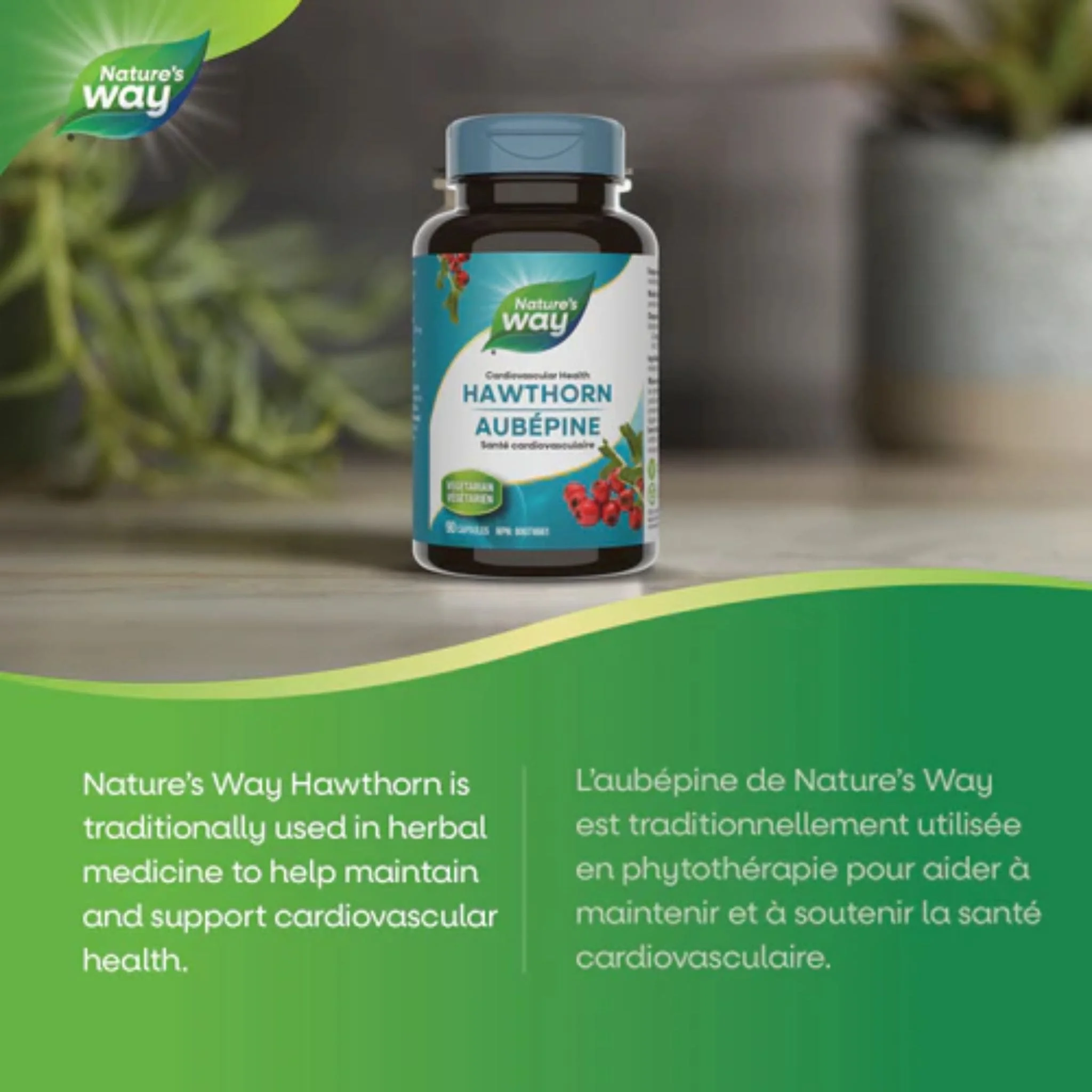 Nature's Way Hawthorn Standardized Extract, 90 Capsules - Image 3