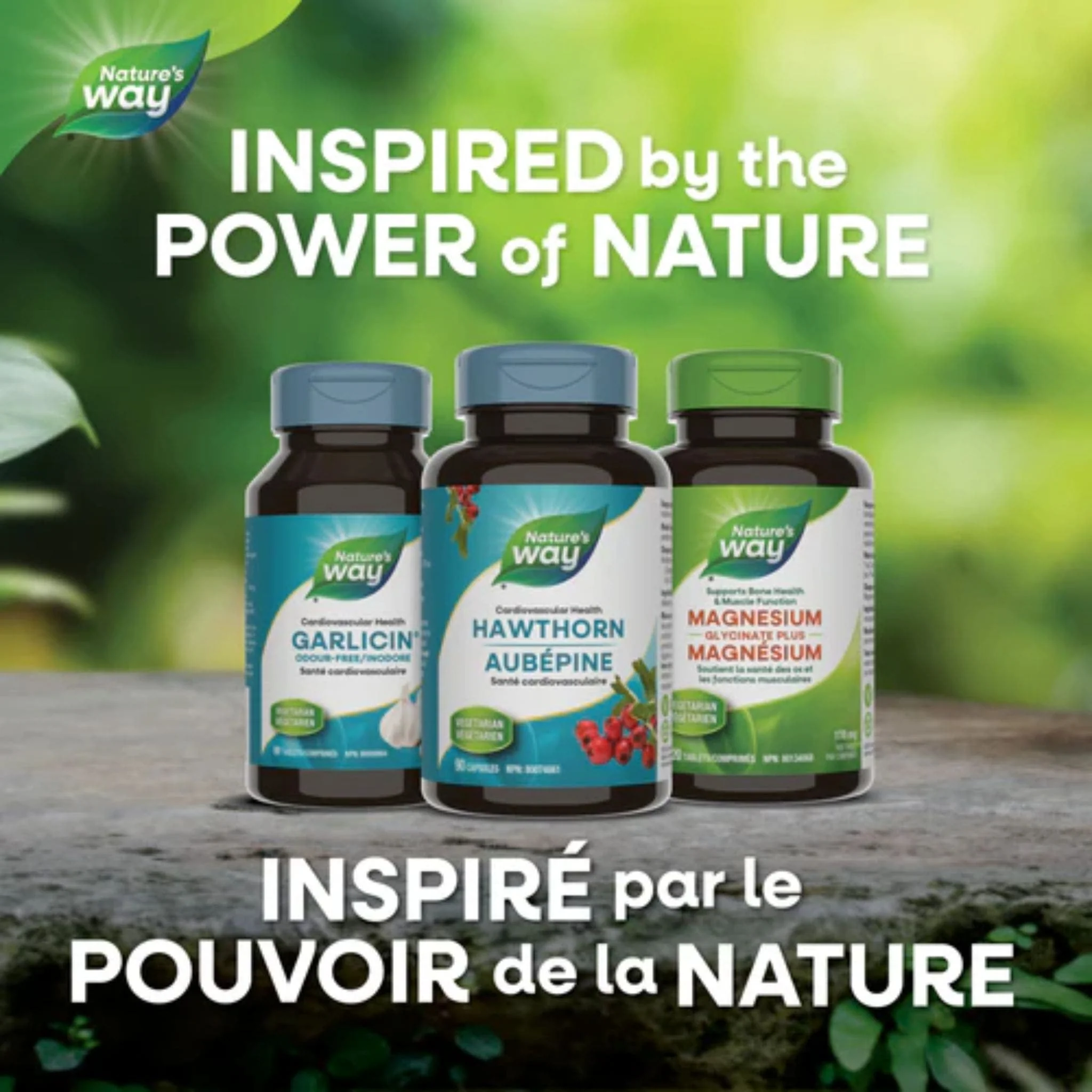Nature's Way Hawthorn Standardized Extract, 90 Capsules - Image 6