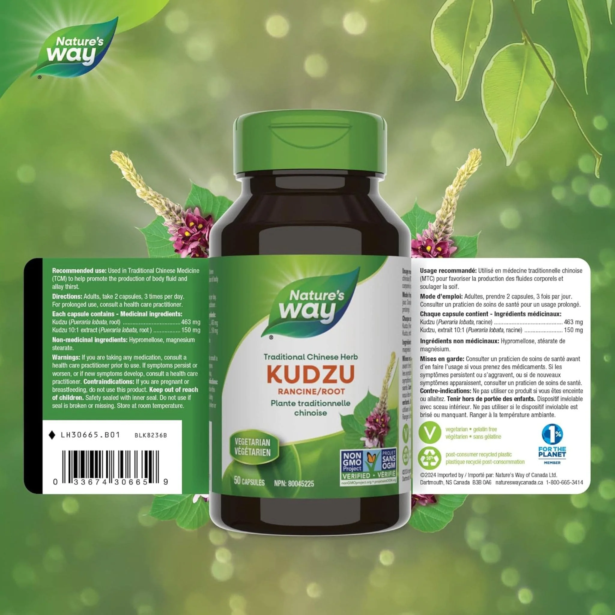 Nature's Way Kudzu Root, 50 Capsules - Image 2