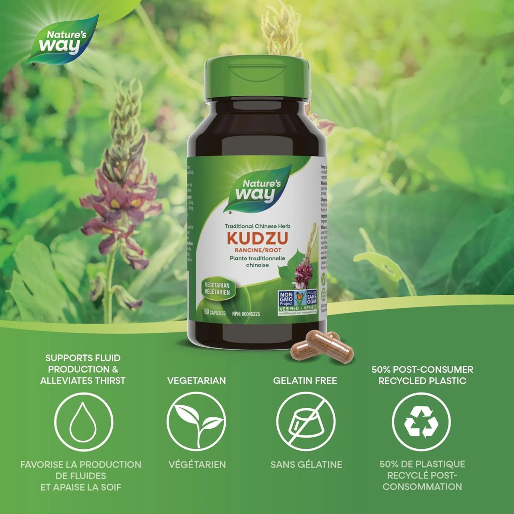 Nature's Way Kudzu Root, 50 Capsules - Image 3