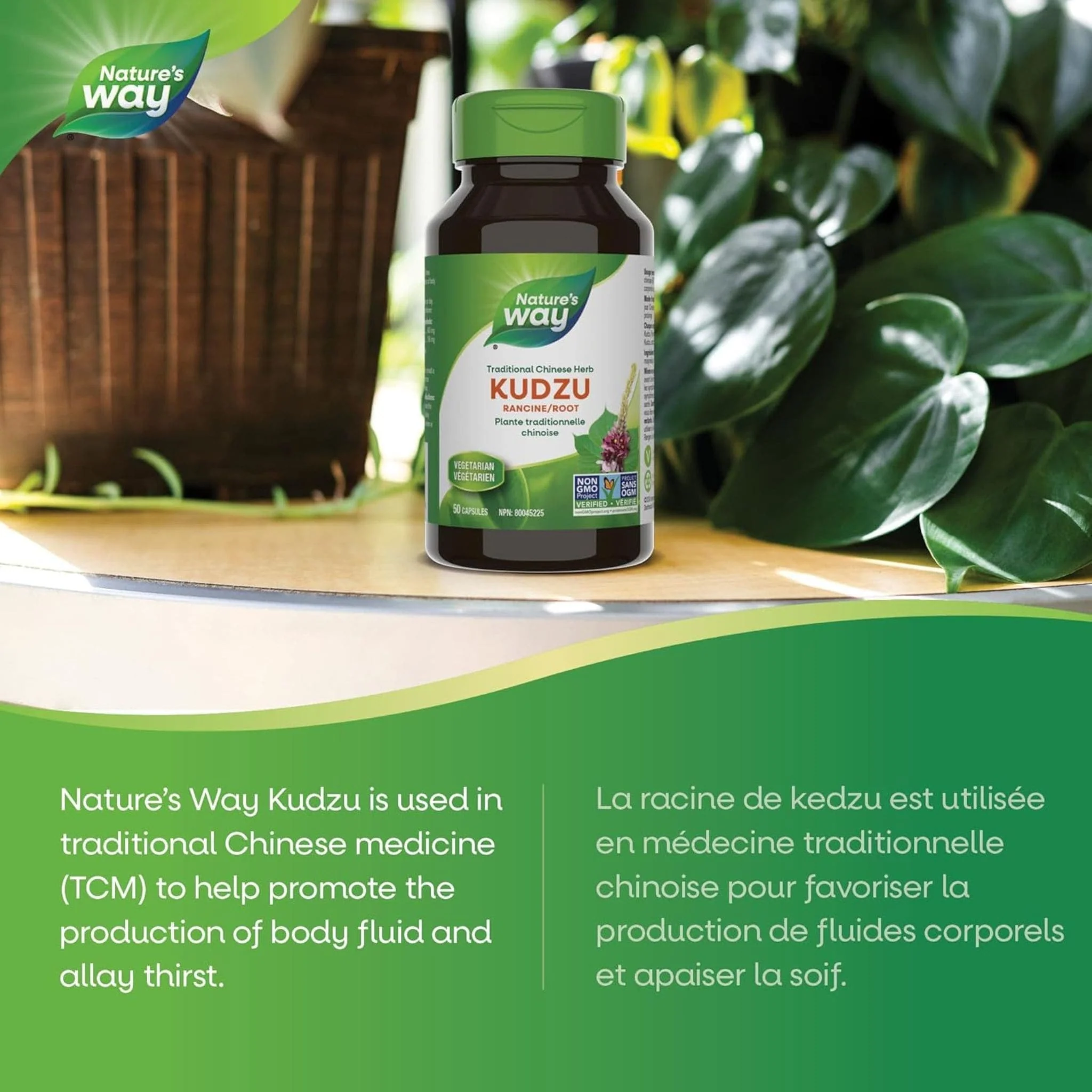 Nature's Way Kudzu Root, 50 Capsules - Image 4