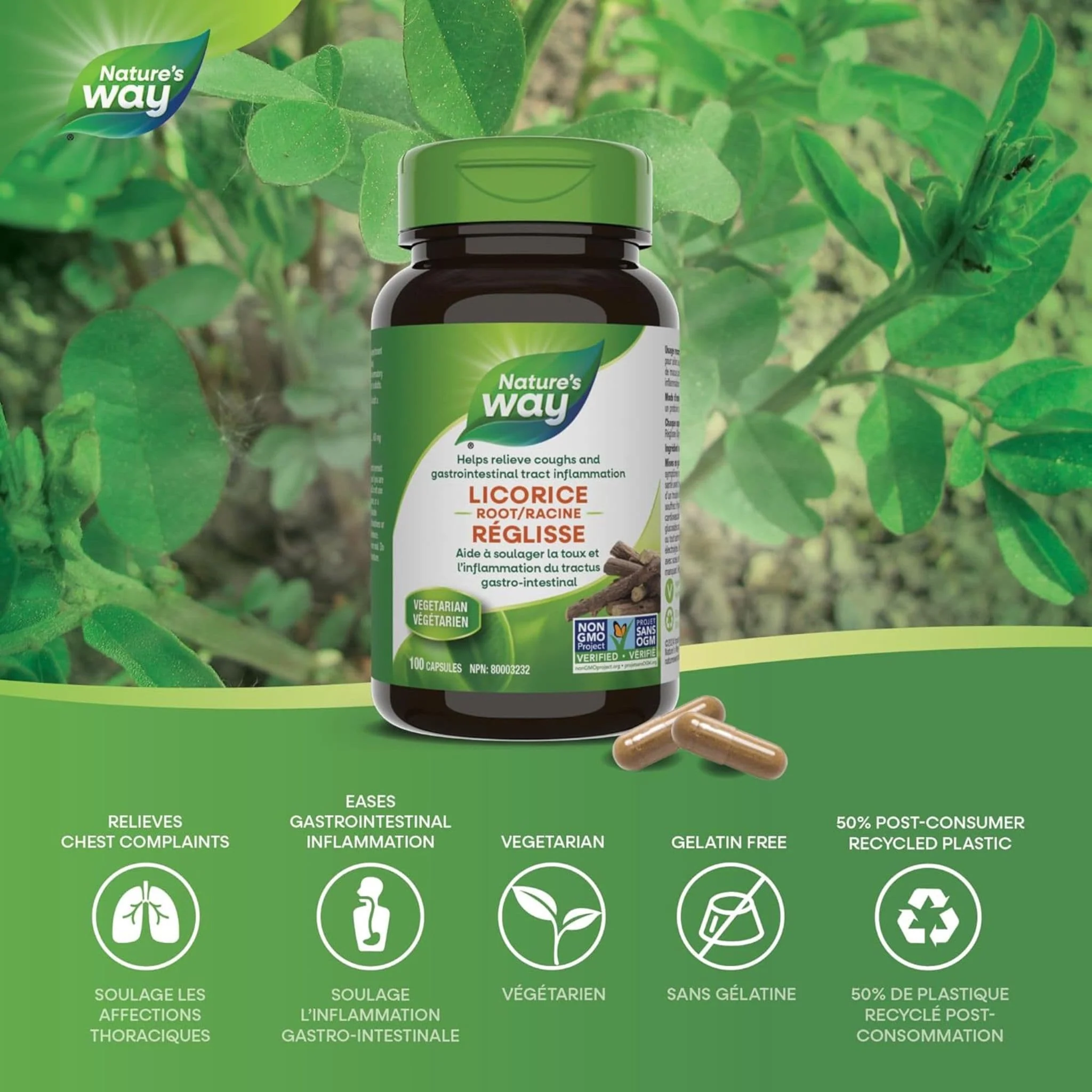 Nature's Way Licorice Root, 100 Vegetable Capsules - Image 4