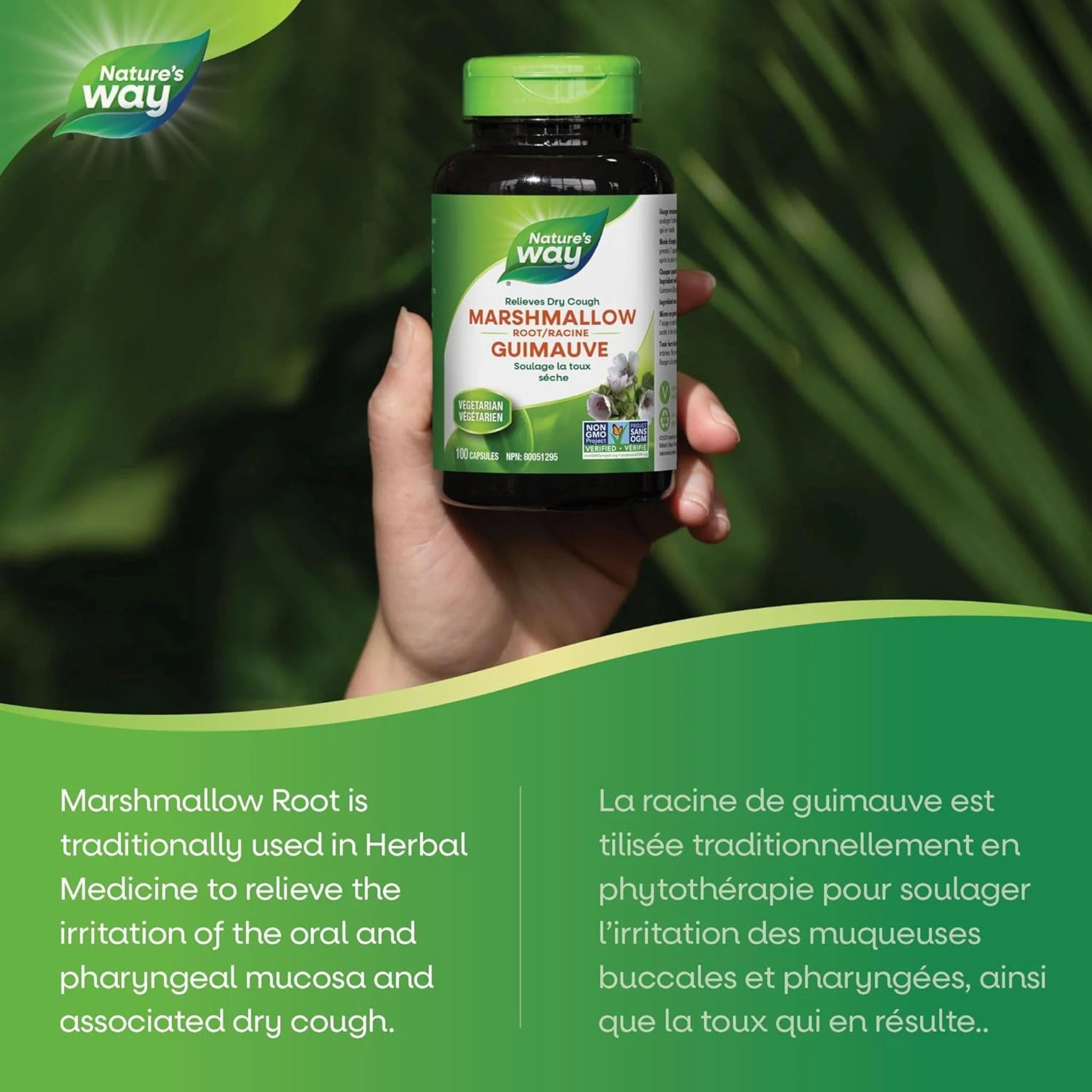 Nature's Way Marshmallow Root, 100 Vegetable Capsules - Image 5