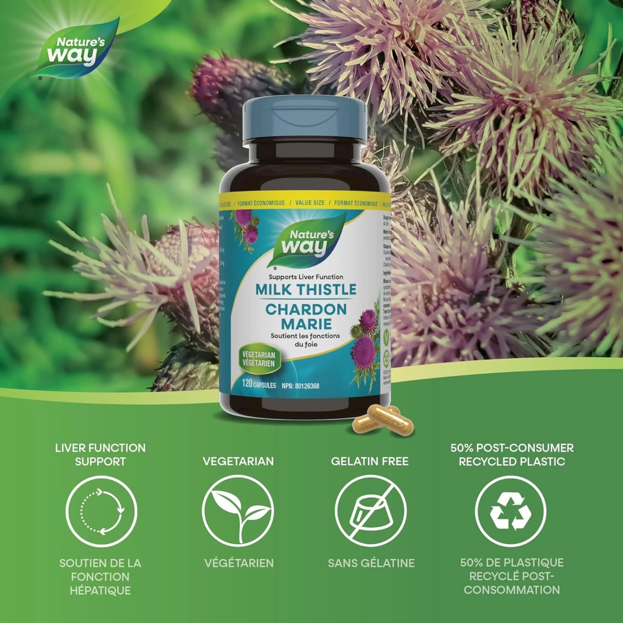Nature's Way Milk Thistle, Standardized - Image 10