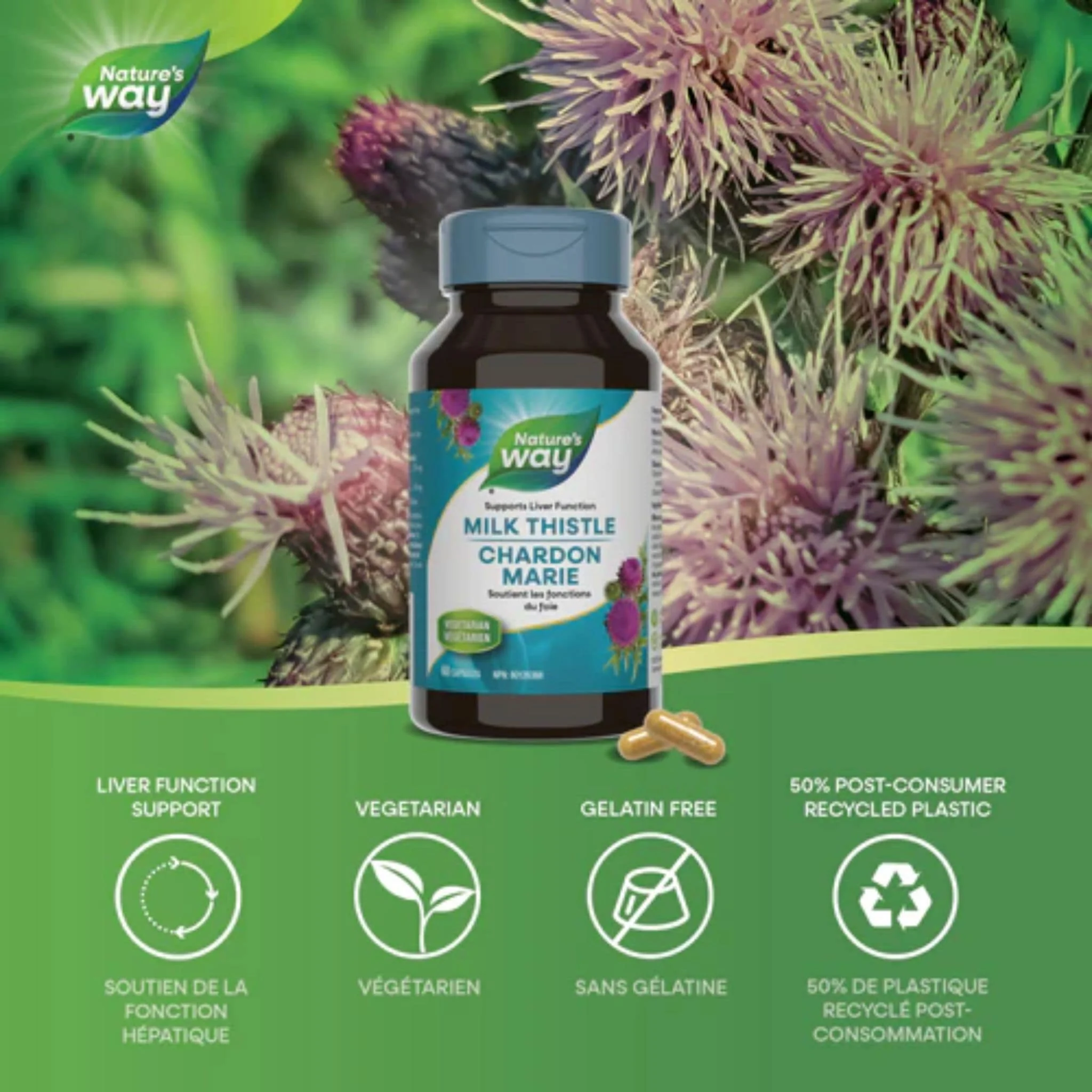 Nature's Way Milk Thistle, Standardized - Image 3