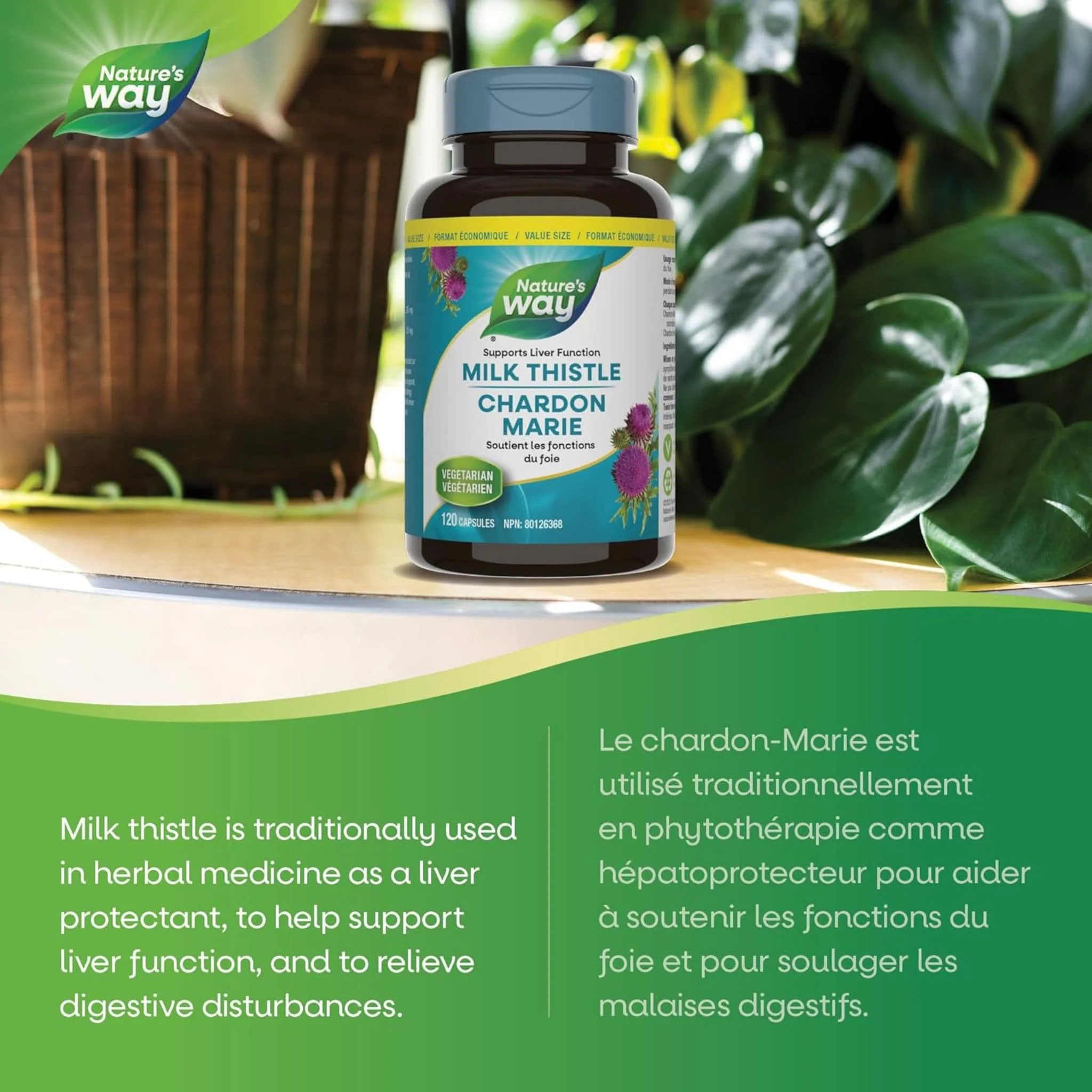 Nature's Way Milk Thistle, Standardized - Image 9