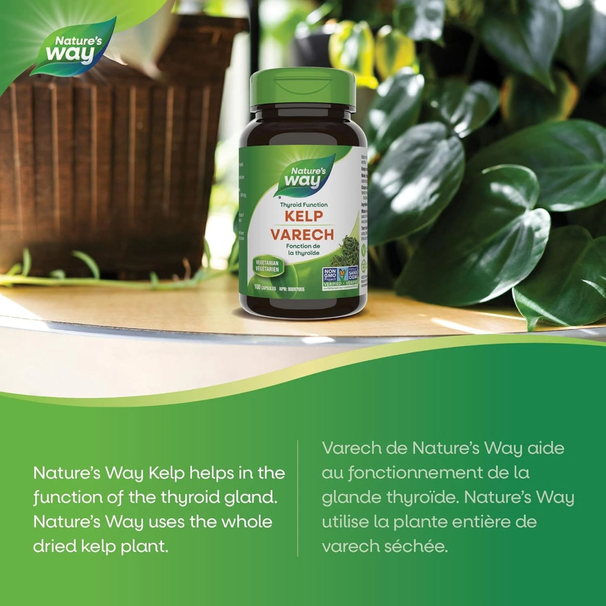 Nature's Way Kelp Capsules - Image 10