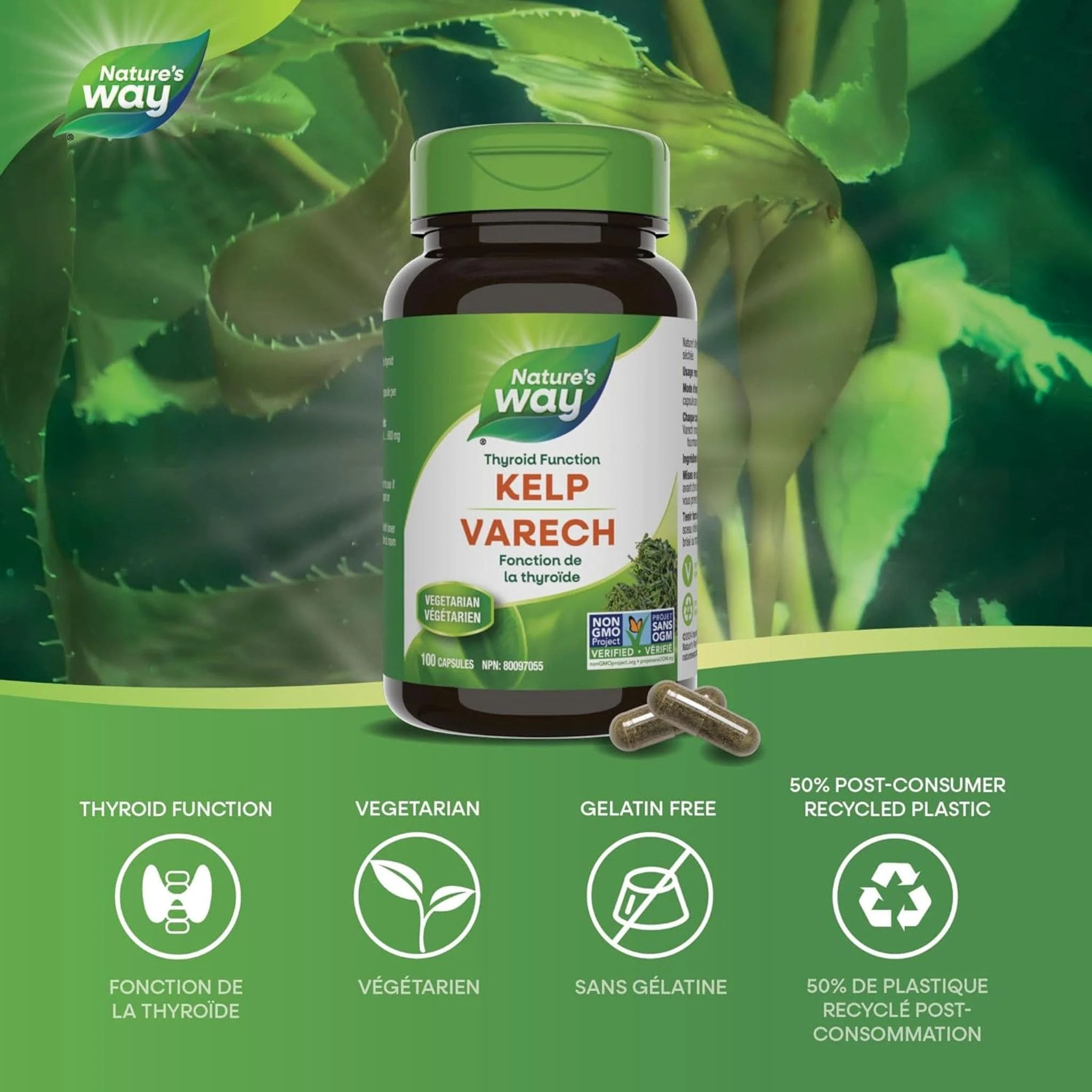 Nature's Way Kelp Capsules - Image 11