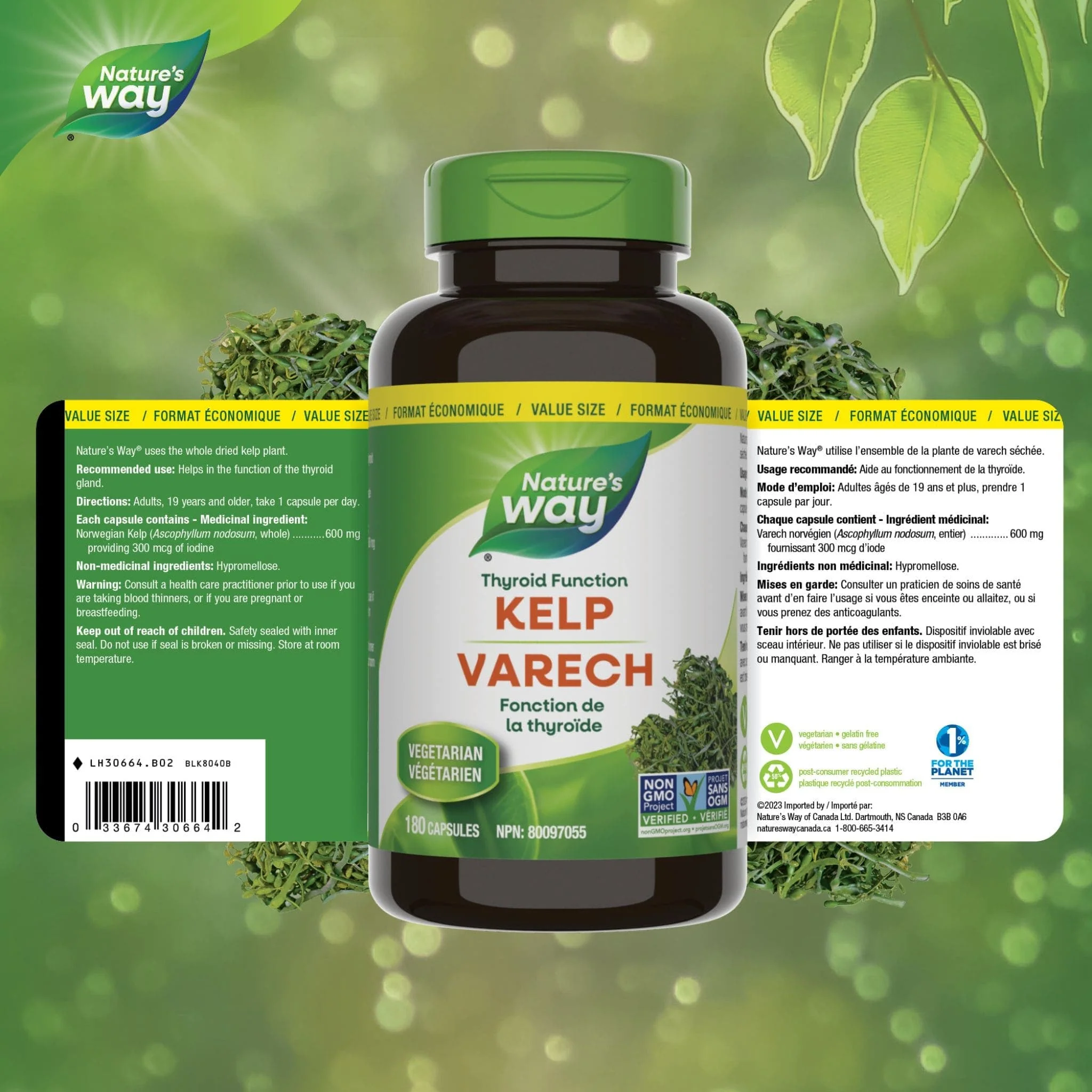 Nature's Way Kelp Capsules - Image 2