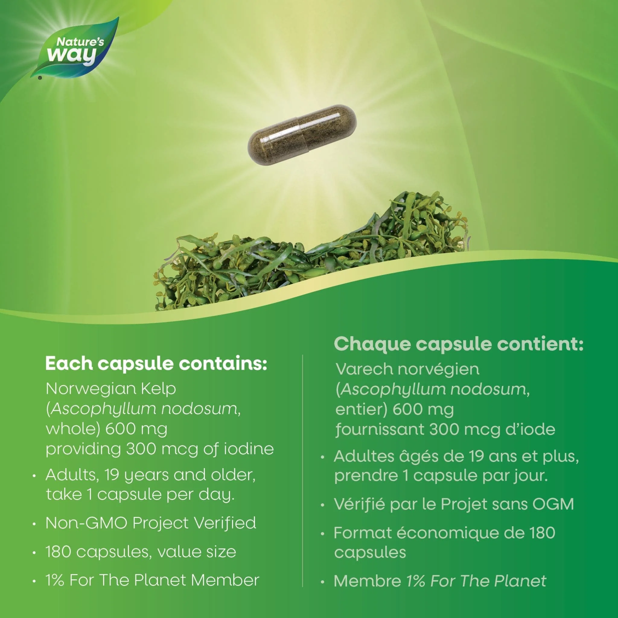 Nature's Way Kelp Capsules - Image 5