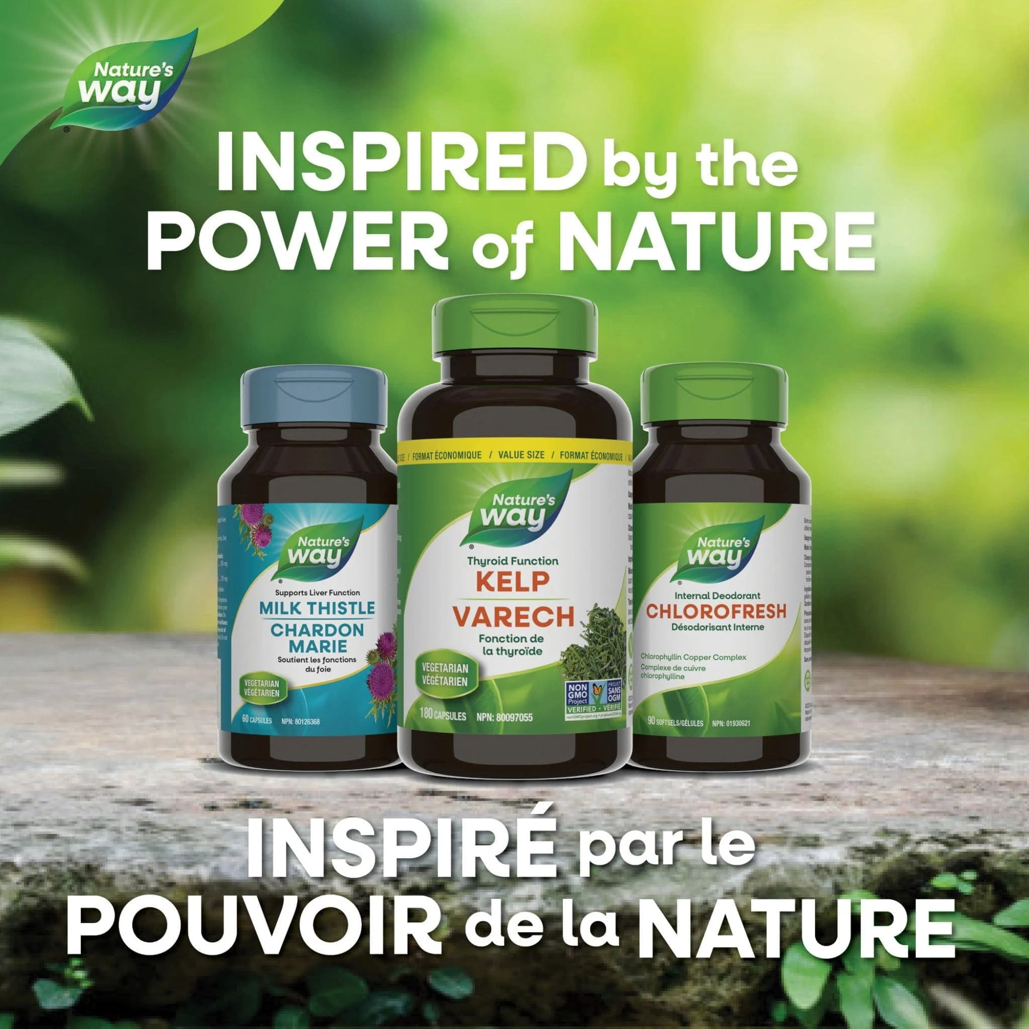 Nature's Way Kelp Capsules - Image 7