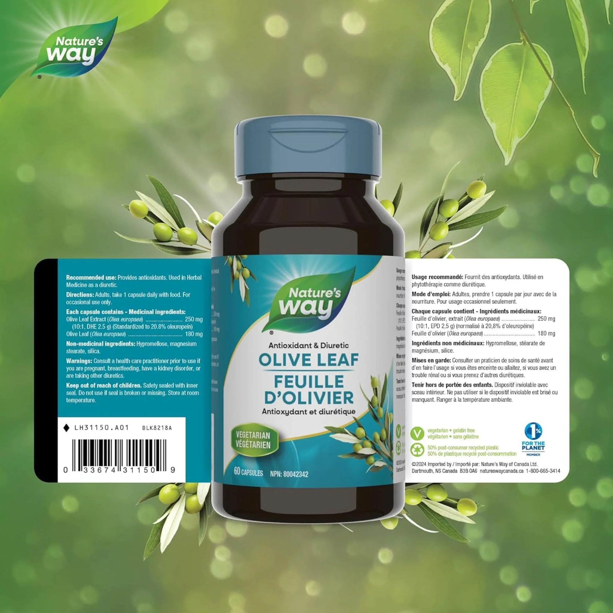 Nature's Way Olive Leaf Standardized Extract, 60 Vcaps CLEARANCE 75% Off Exp 2/26 Final Sale - Image 2