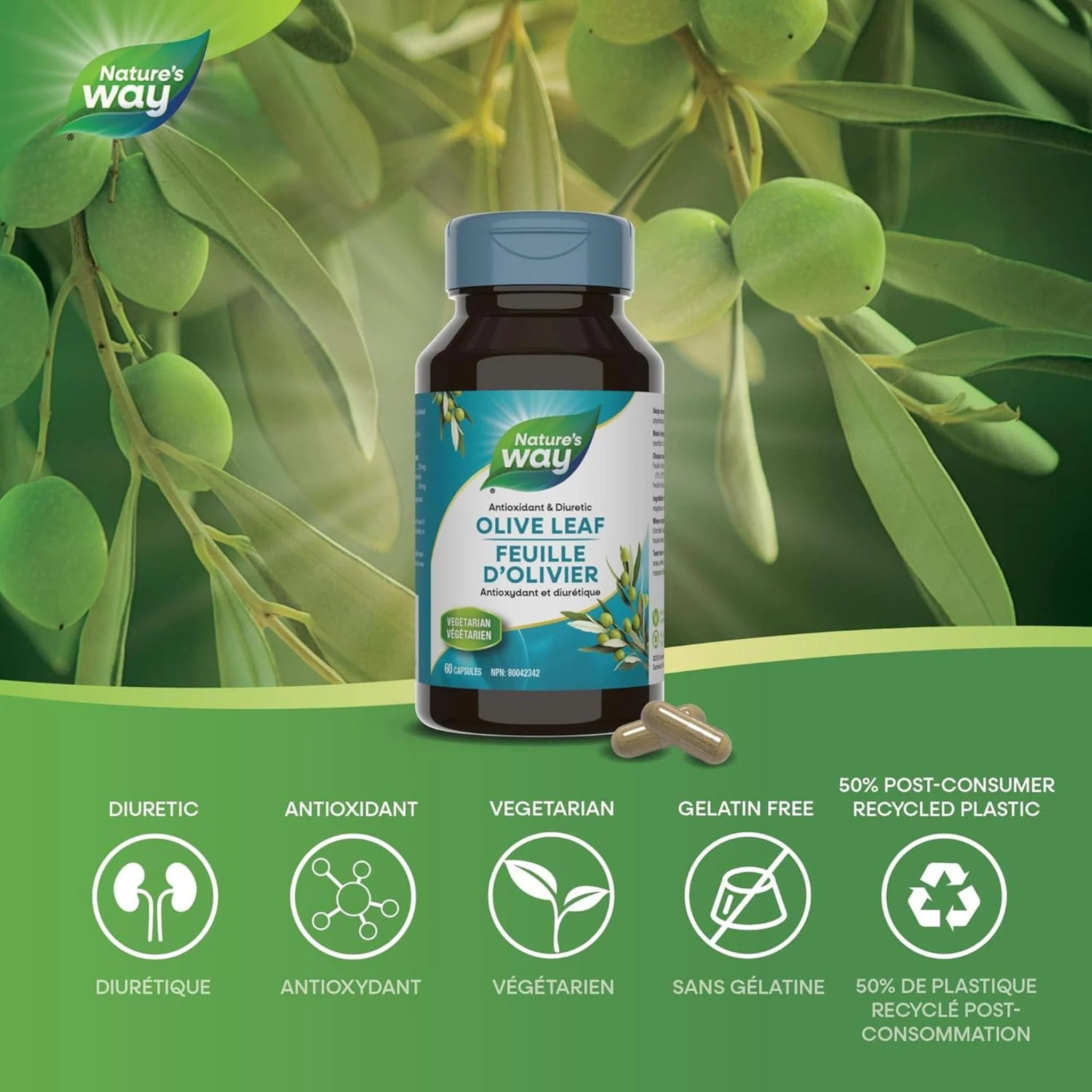 Nature's Way Olive Leaf Standardized Extract, 60 Vcaps CLEARANCE 75% Off Exp 2/26 Final Sale - Image 3