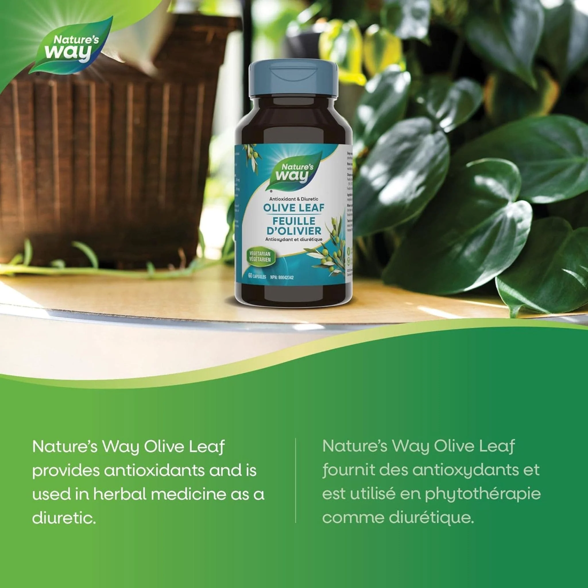 Nature's Way Olive Leaf Standardized Extract, 60 Vcaps CLEARANCE 75% Off Exp 2/26 Final Sale - Image 4
