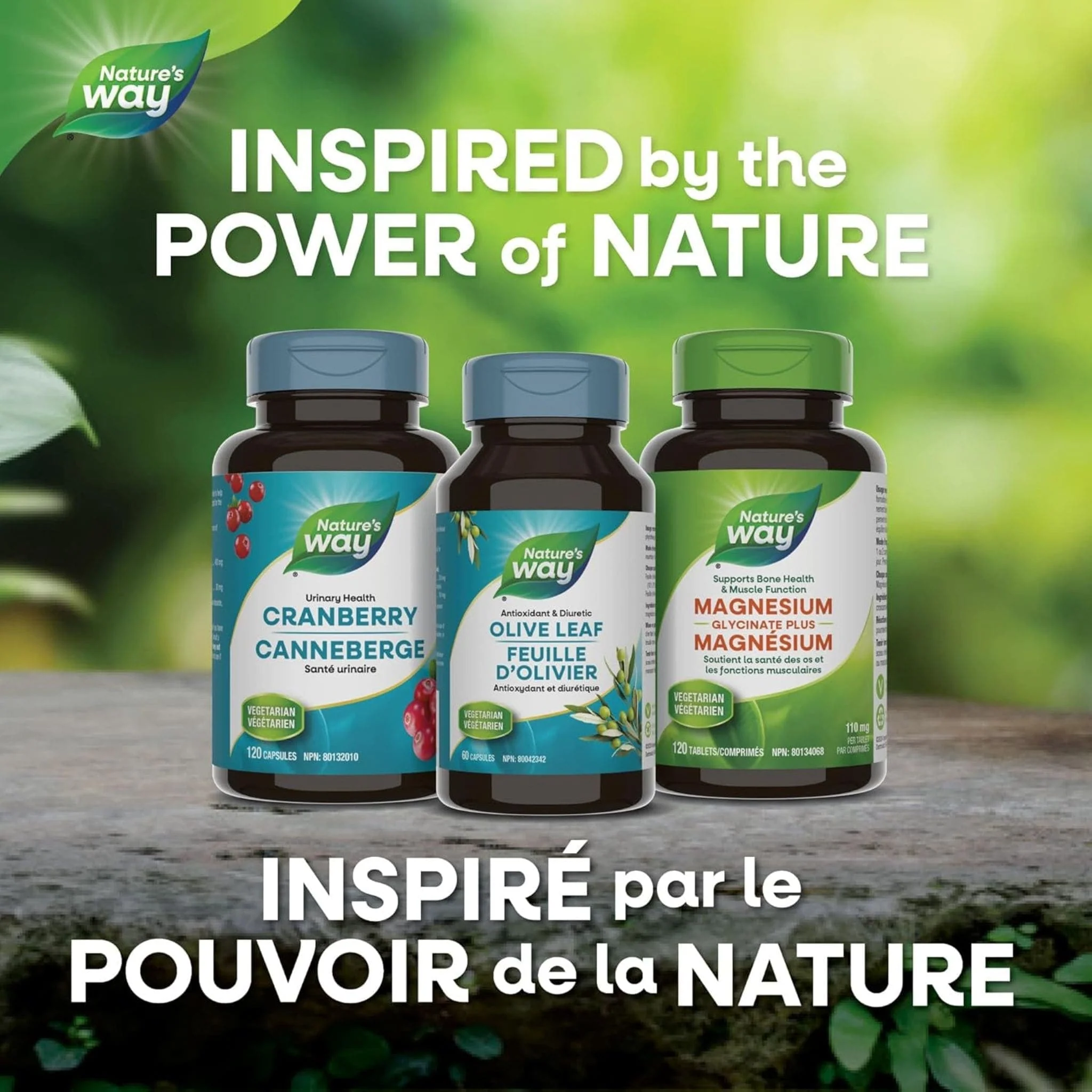 Nature's Way Olive Leaf Standardized Extract, 60 Vcaps CLEARANCE 75% Off Exp 2/26 Final Sale - Image 7
