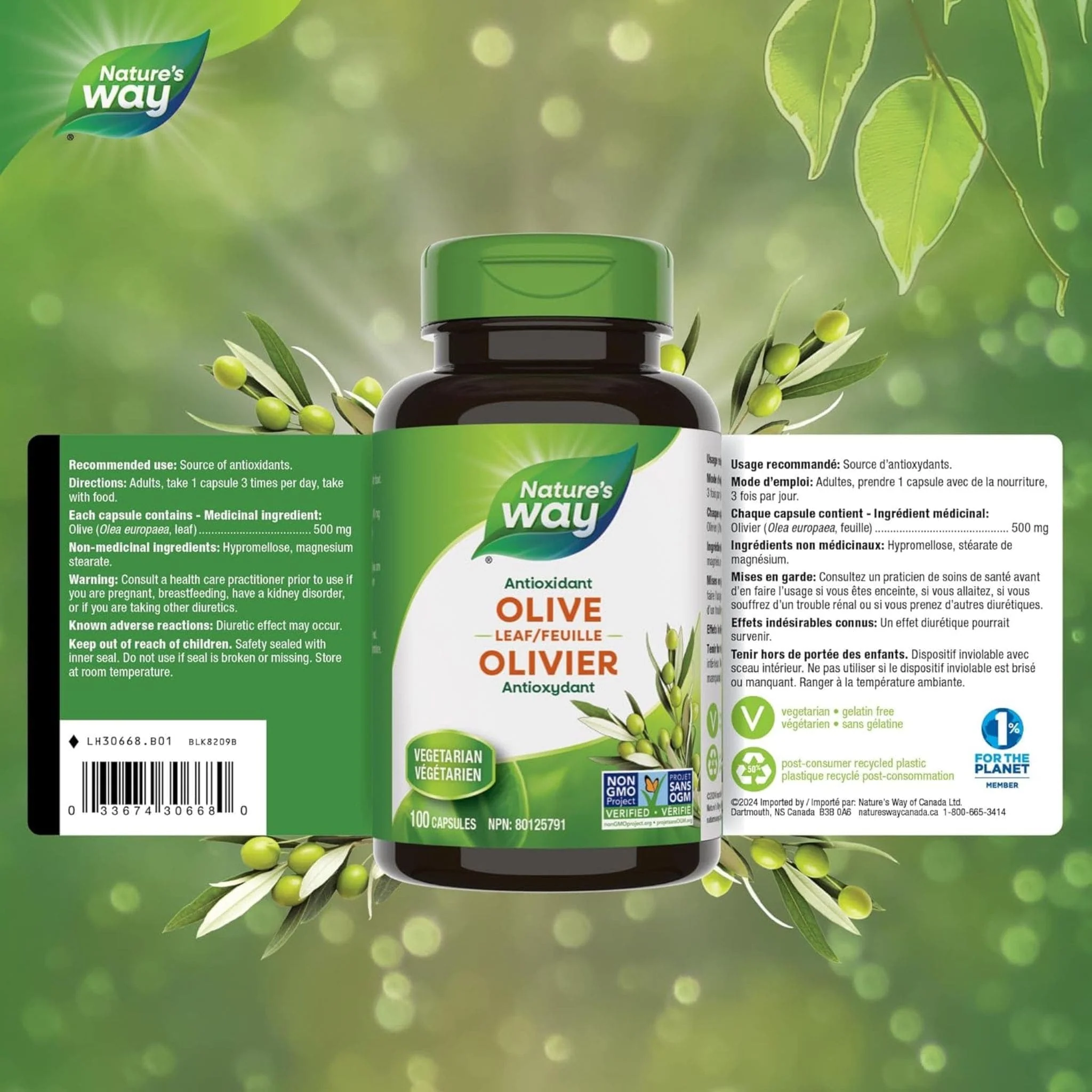 Nature's Way Olive Leaf 500mg, 100 Vegetable Capsules - Image 2