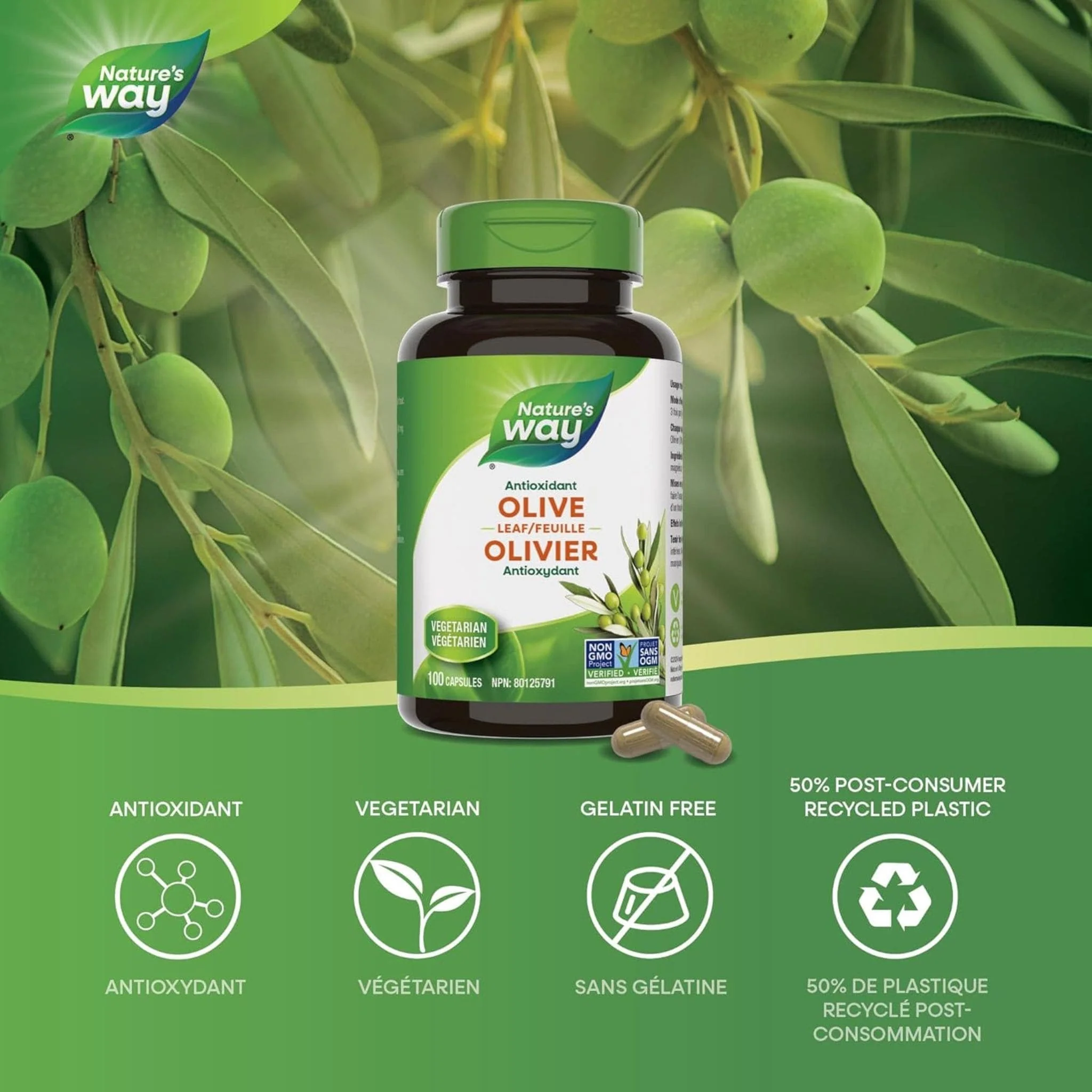 Nature's Way Olive Leaf 500mg, 100 Vegetable Capsules - Image 3