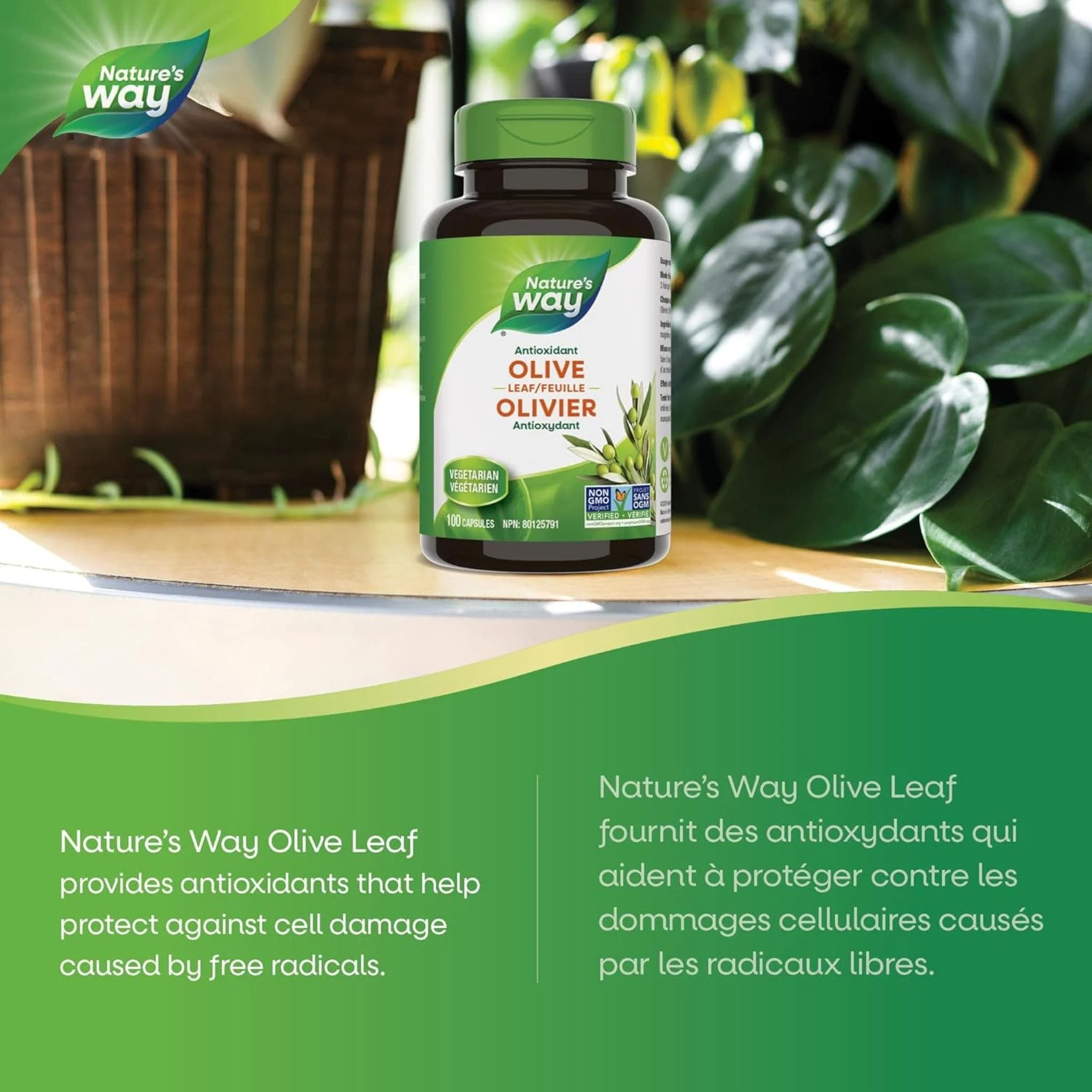 Nature's Way Olive Leaf 500mg, 100 Vegetable Capsules - Image 4