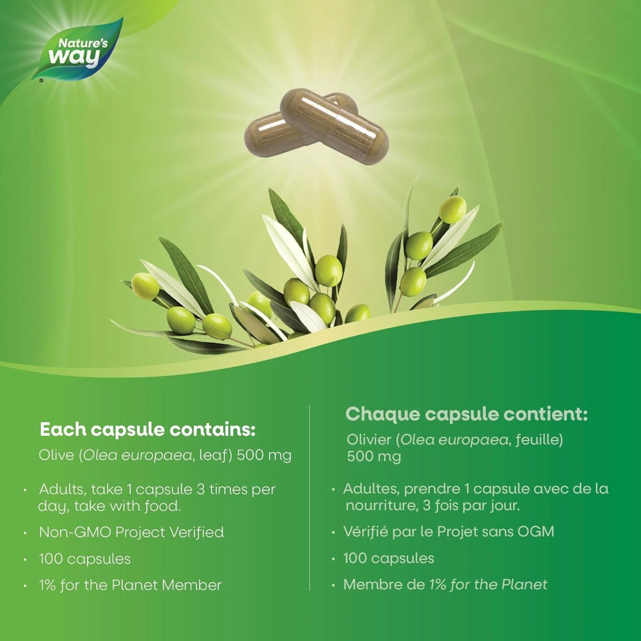 Nature's Way Olive Leaf 500mg, 100 Vegetable Capsules - Image 5