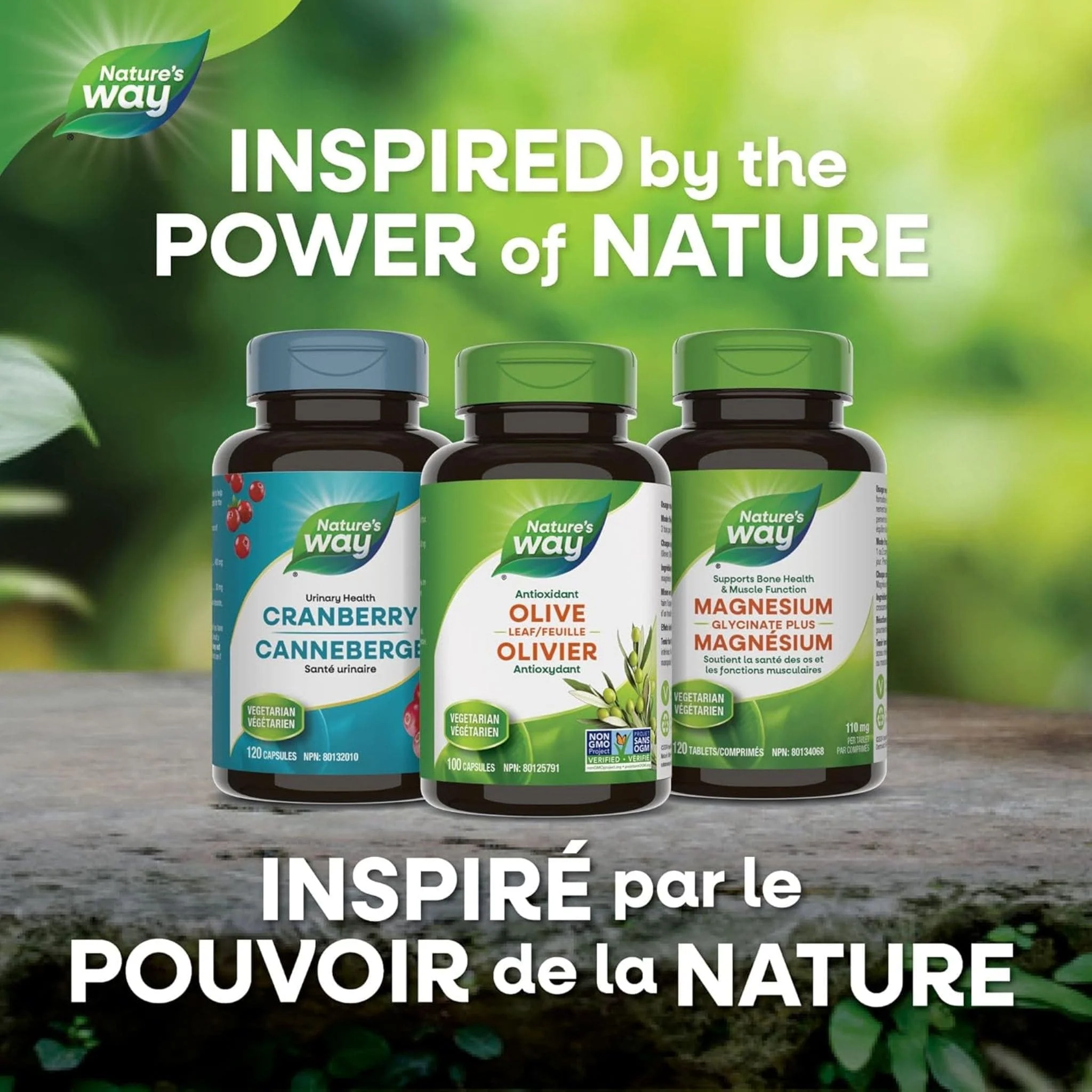 Nature's Way Olive Leaf 500mg, 100 Vegetable Capsules - Image 7