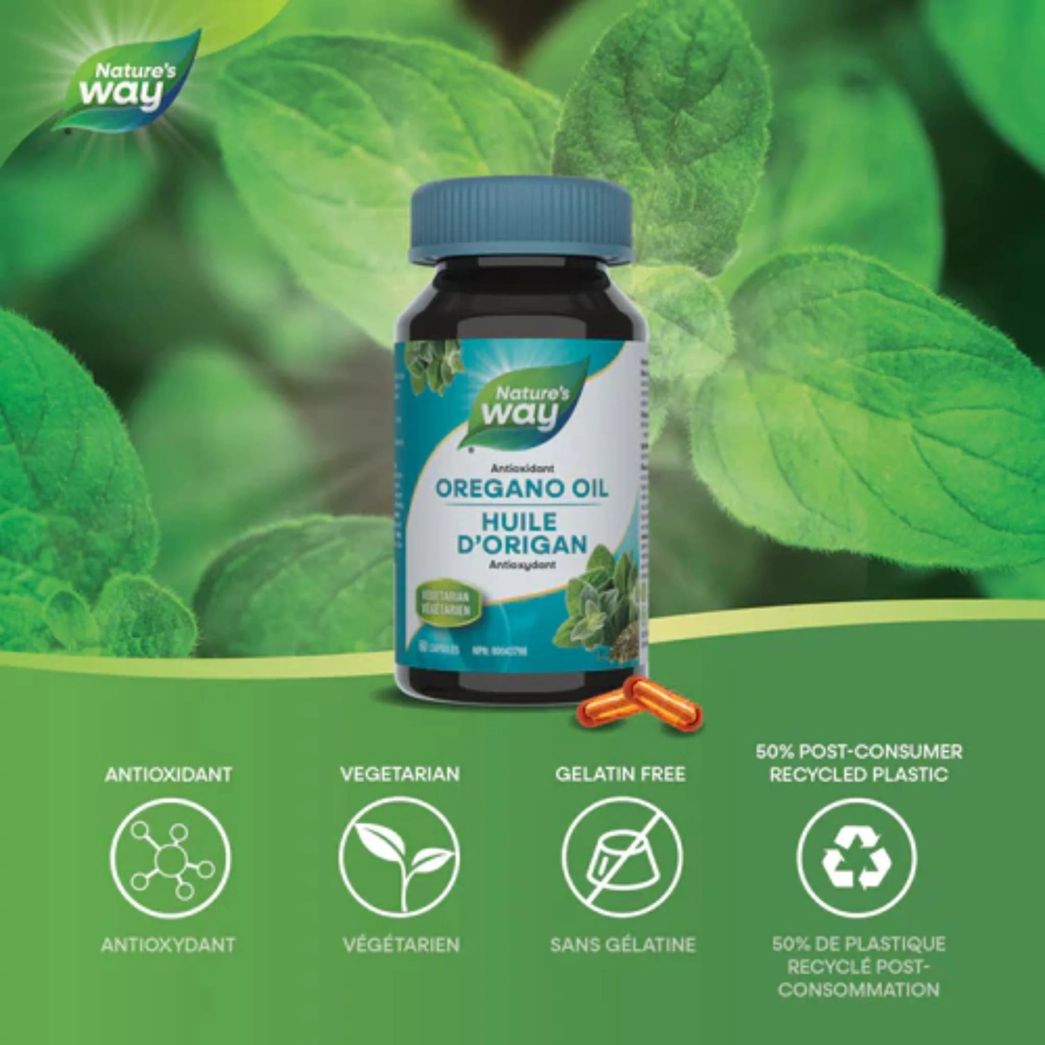 Nature's Way Oregano Oil Standardized 50mg - Image 2