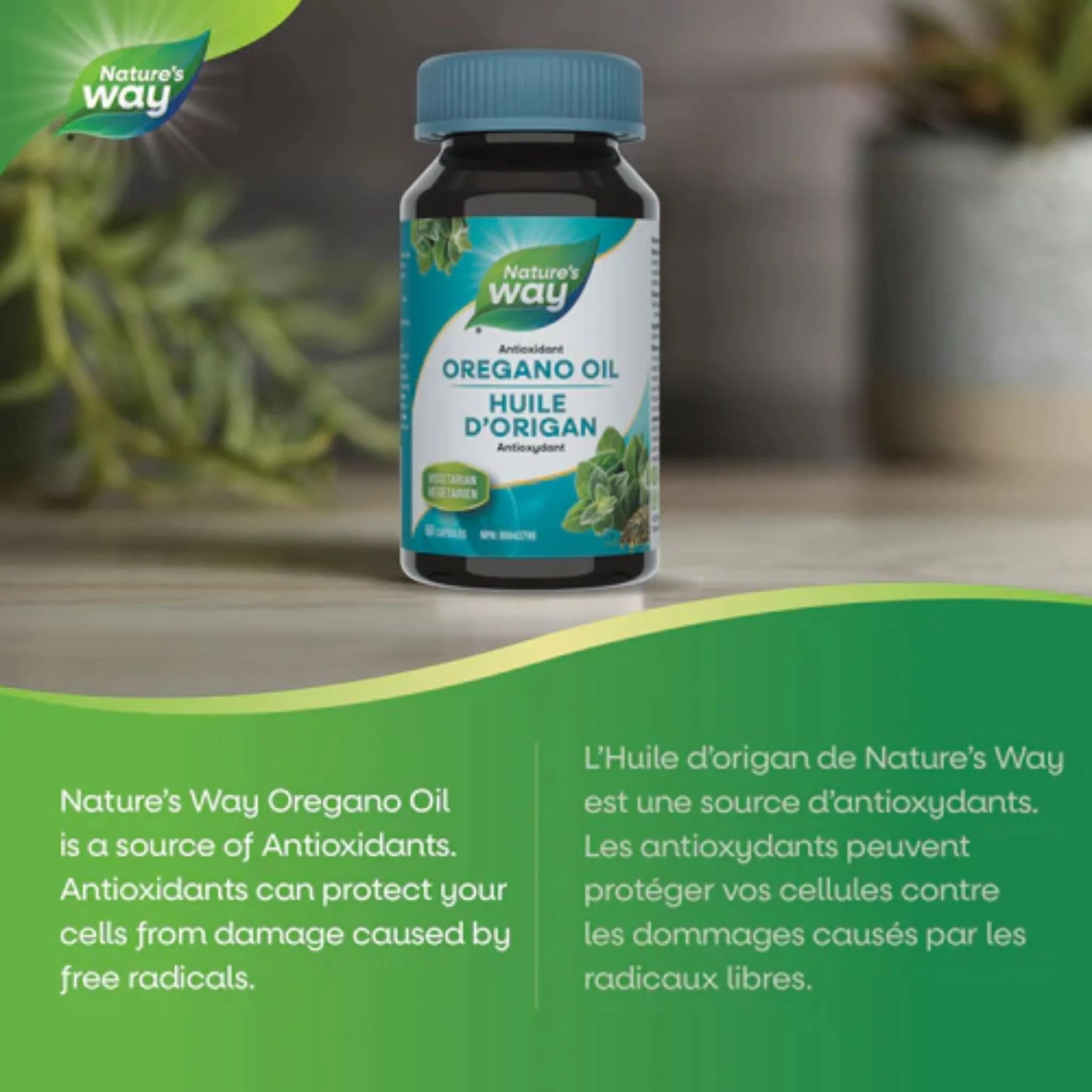 Nature's Way Oregano Oil Standardized 50mg - Image 3