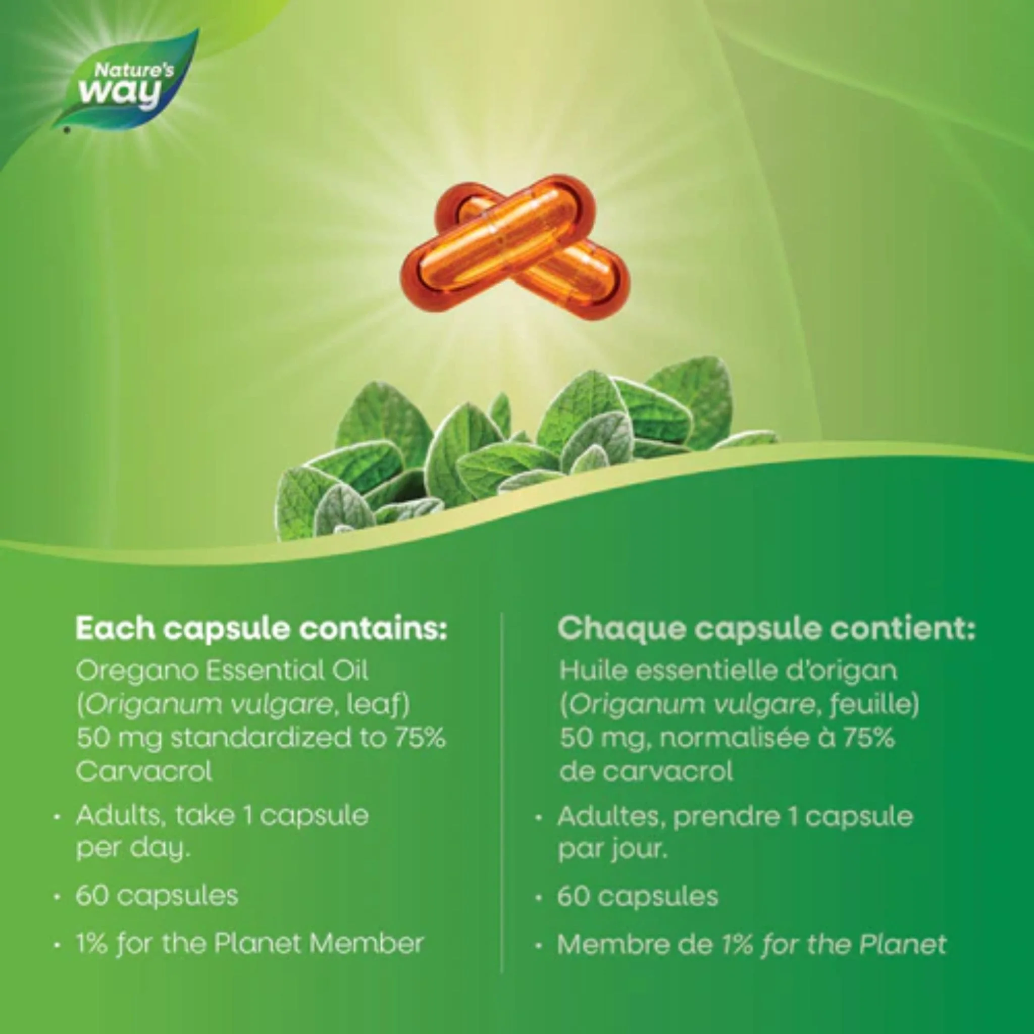 Nature's Way Oregano Oil Standardized 50mg - Image 4