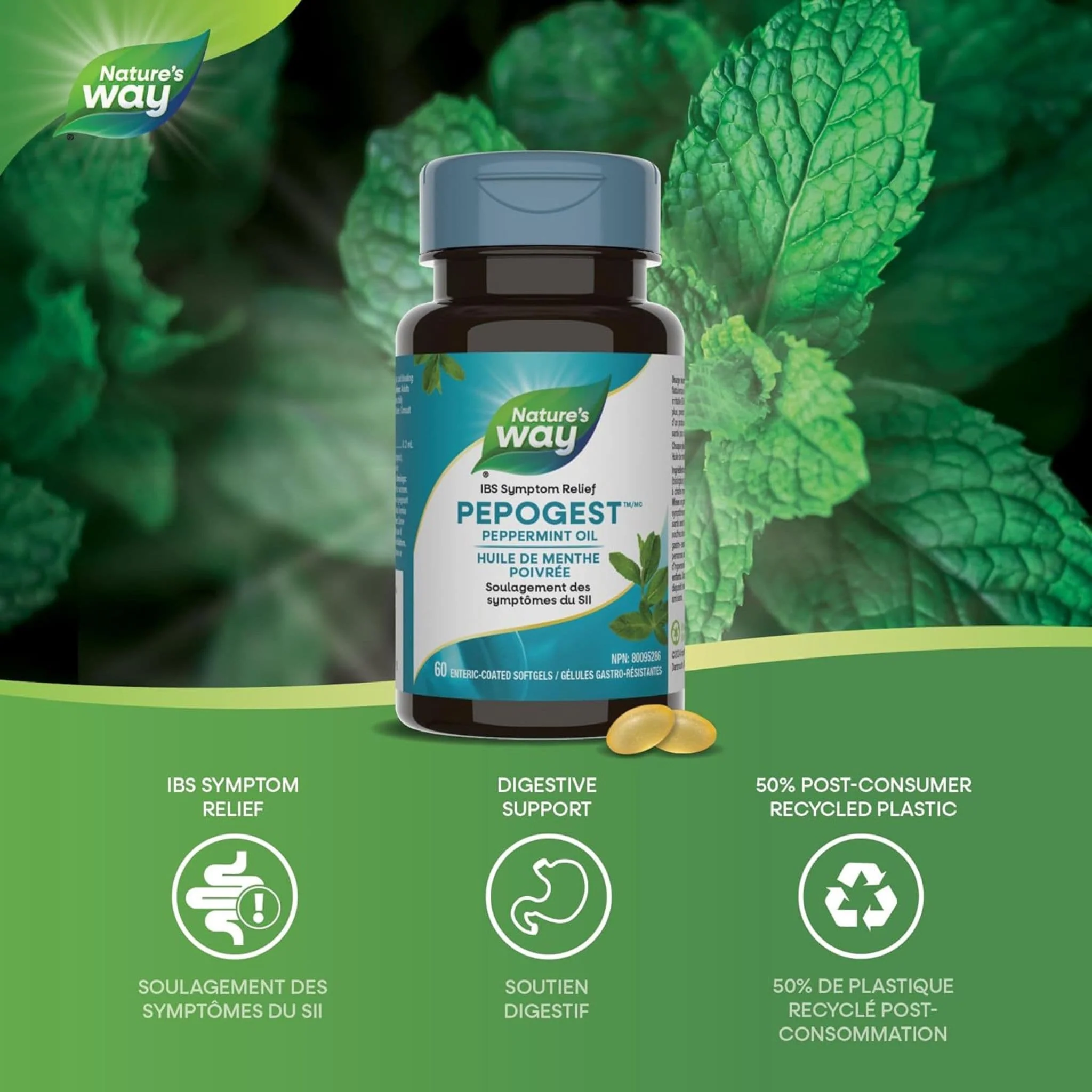 Nature's Way Pepogest Peppermint Oil, 60 Enteric Coated Softgels - Image 3