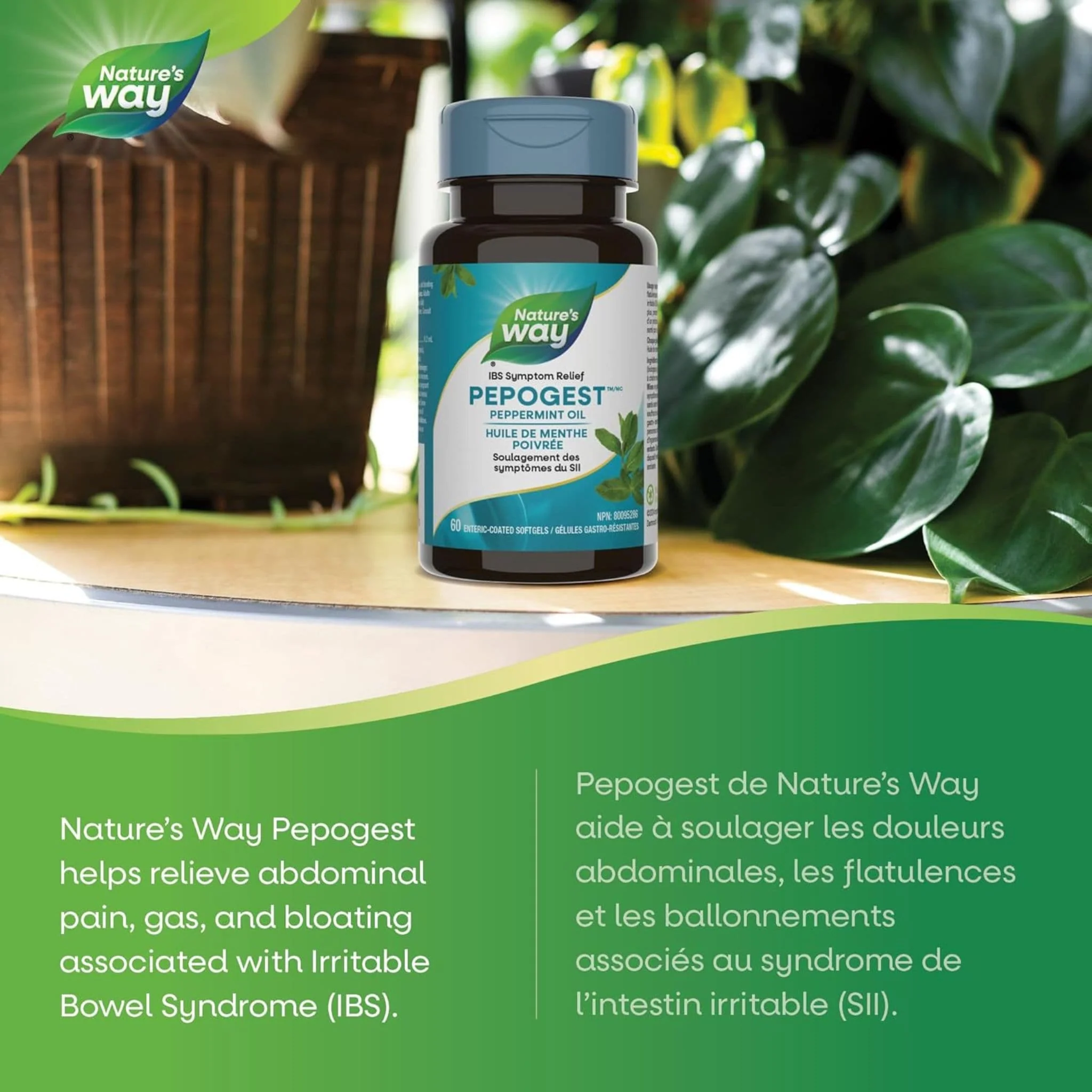 Nature's Way Pepogest Peppermint Oil, 60 Enteric Coated Softgels - Image 4