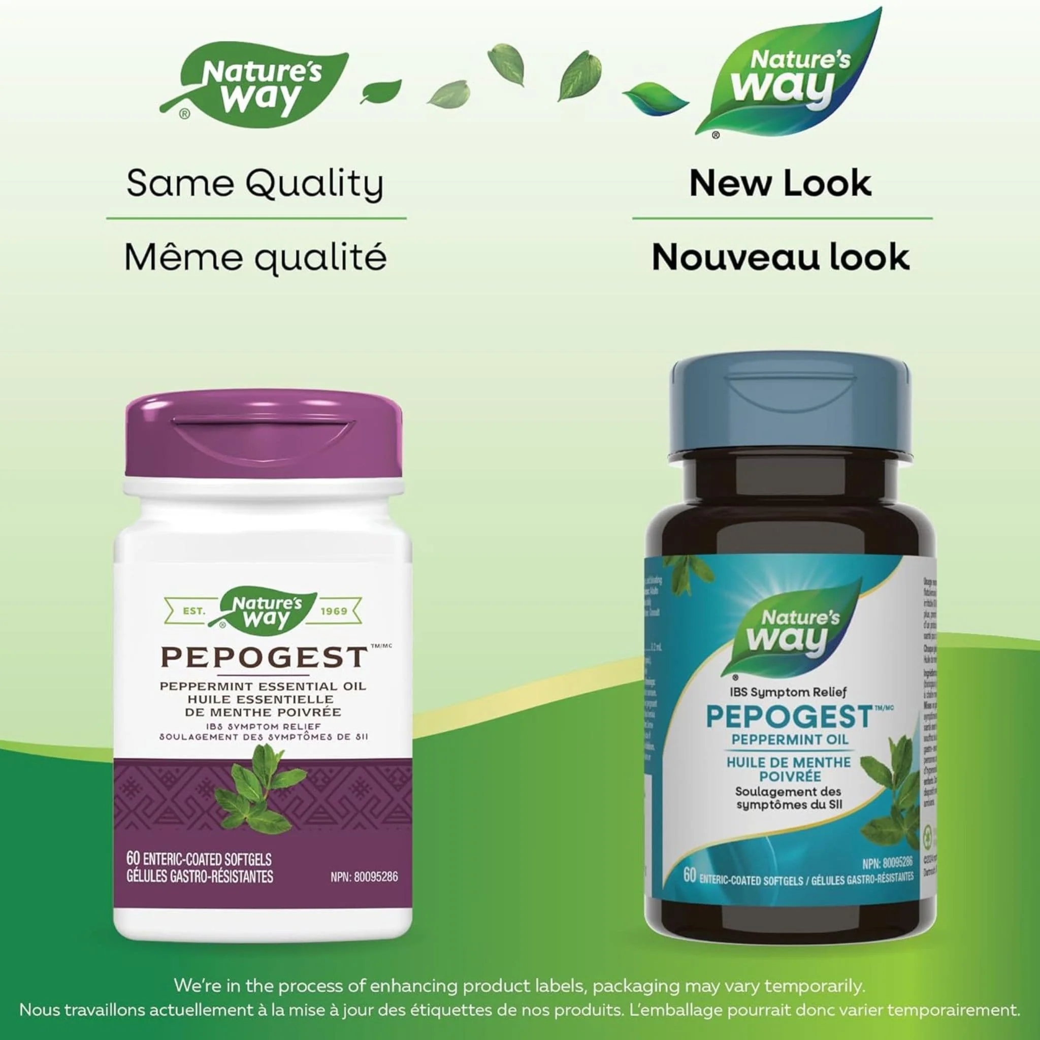 Nature's Way Pepogest Peppermint Oil, 60 Enteric Coated Softgels - Image 7