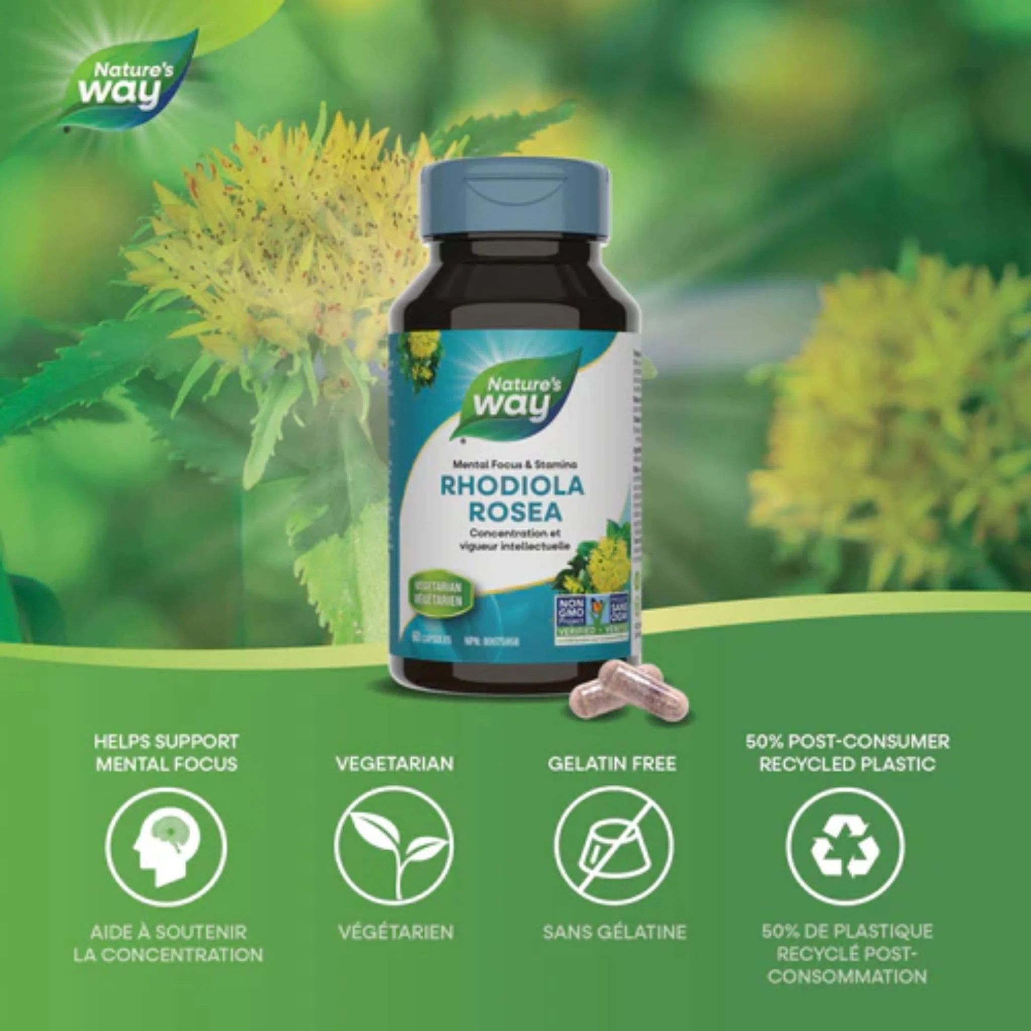 Nature's Way Rhodiola Rosea 250mg Standardized Extract, Root Extract 3% Rosavins and 1% Salidroside, 60 Vegetable capsules - Image 2