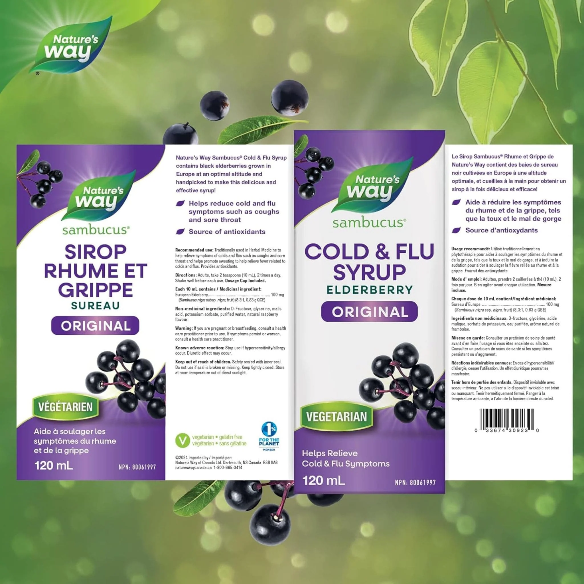 Nature's Way Sambucus Black Elderberry FluCare Syrup Original (Virologist Tested), 120ml - Image 2