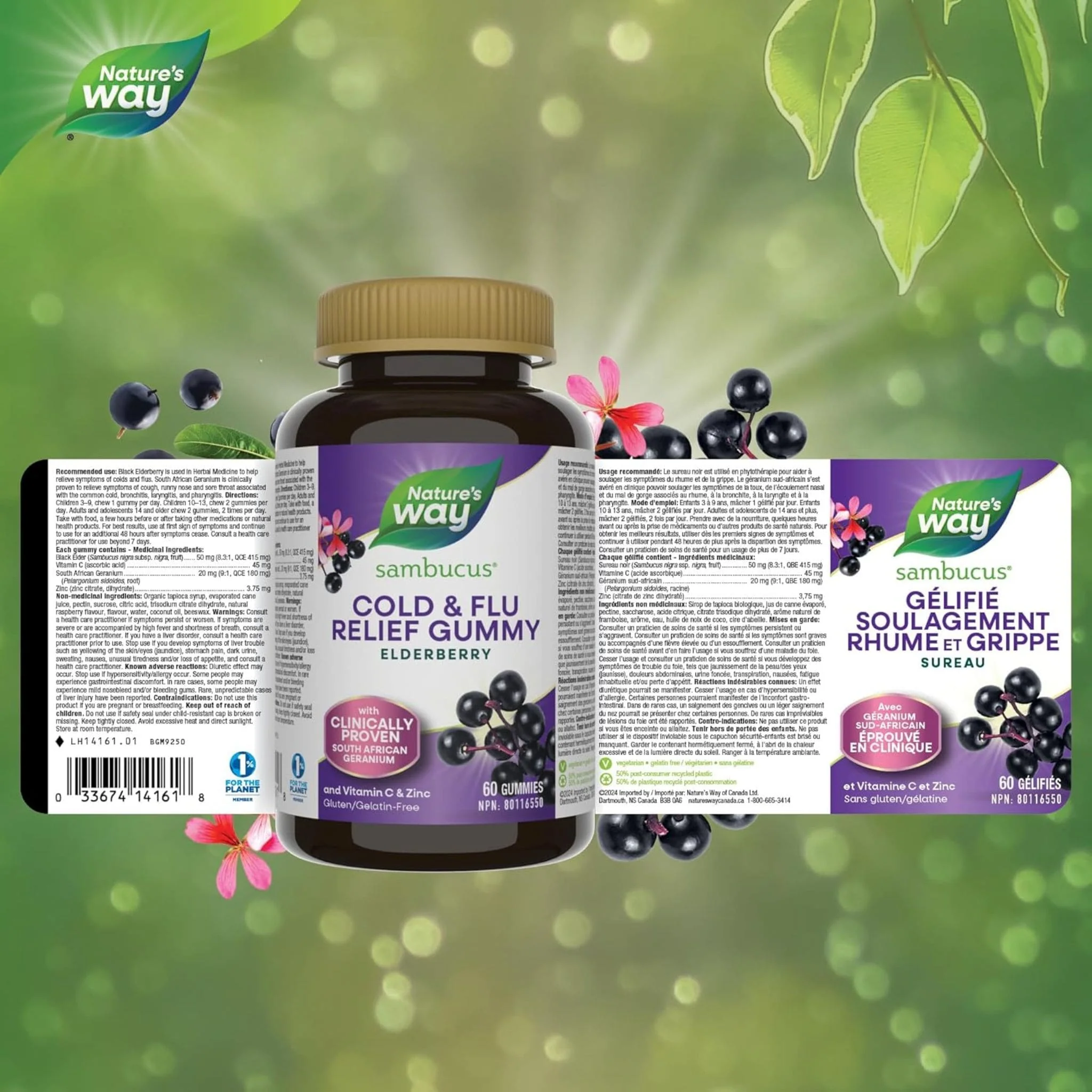 Nature's Way Sambucus Relief Adult Gummies, 60 Gummies - Image 3