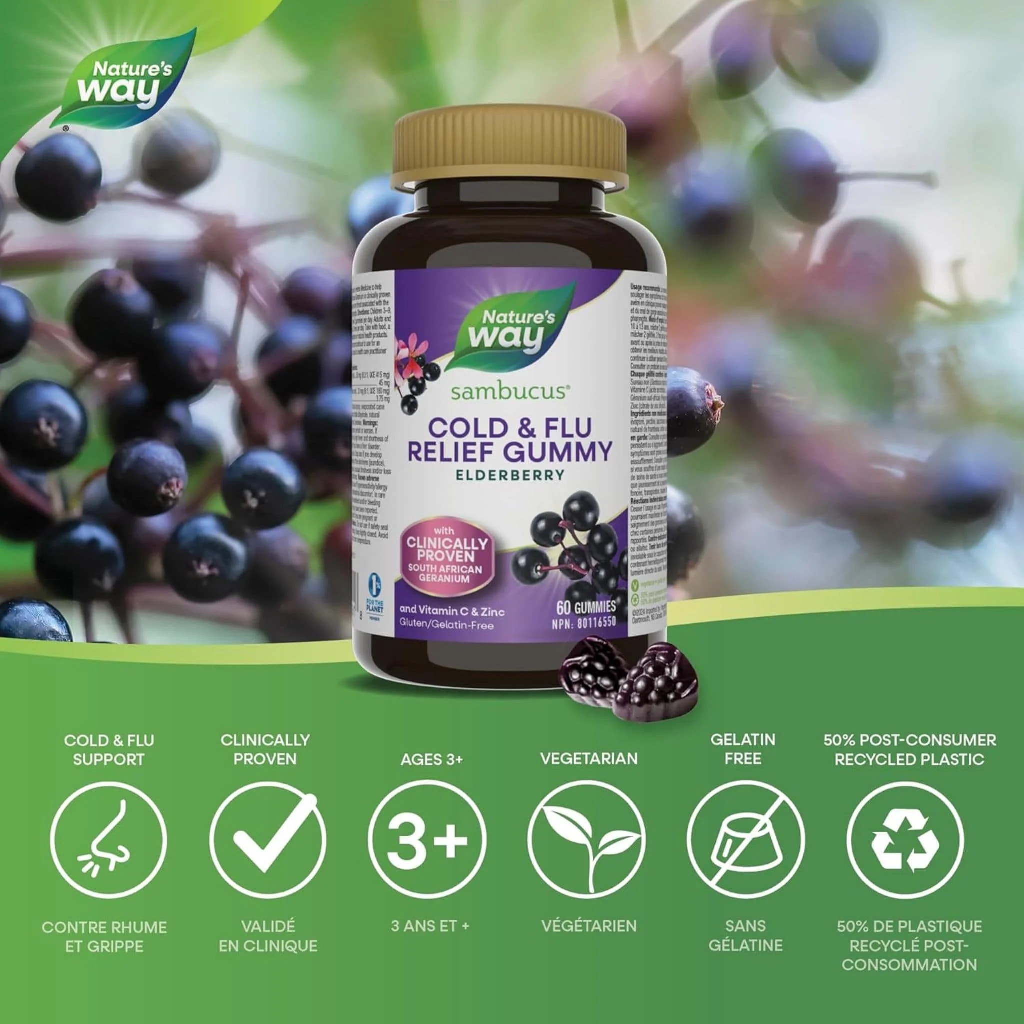 Nature's Way Sambucus Relief Adult Gummies, 60 Gummies - Image 4
