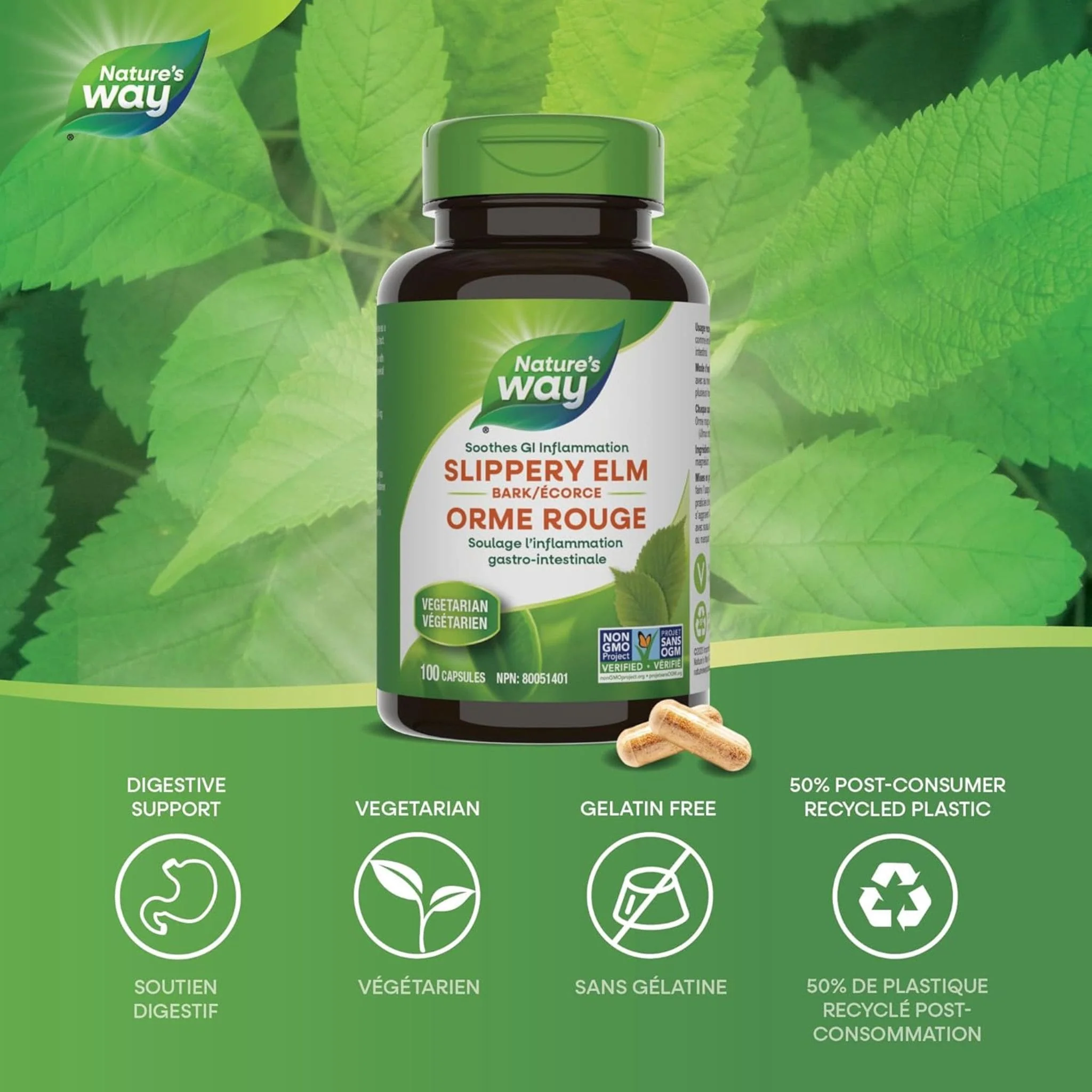 Nature's Way Slippery Elm Bark, 100 Vegetable Capsules - Image 3