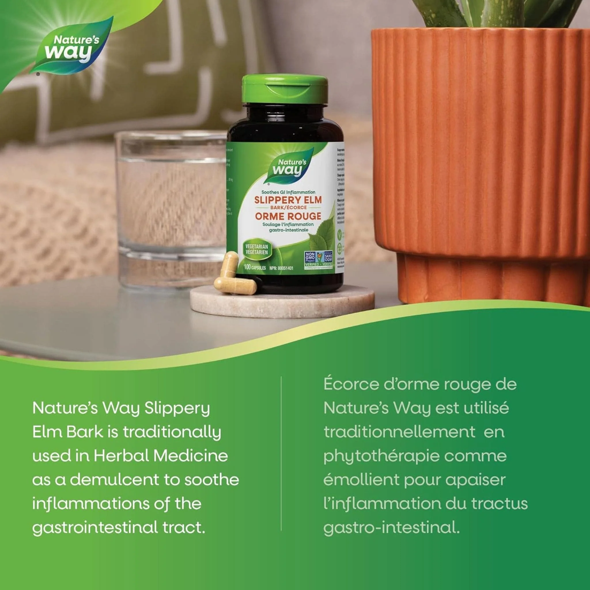 Nature's Way Slippery Elm Bark, 100 Vegetable Capsules - Image 4
