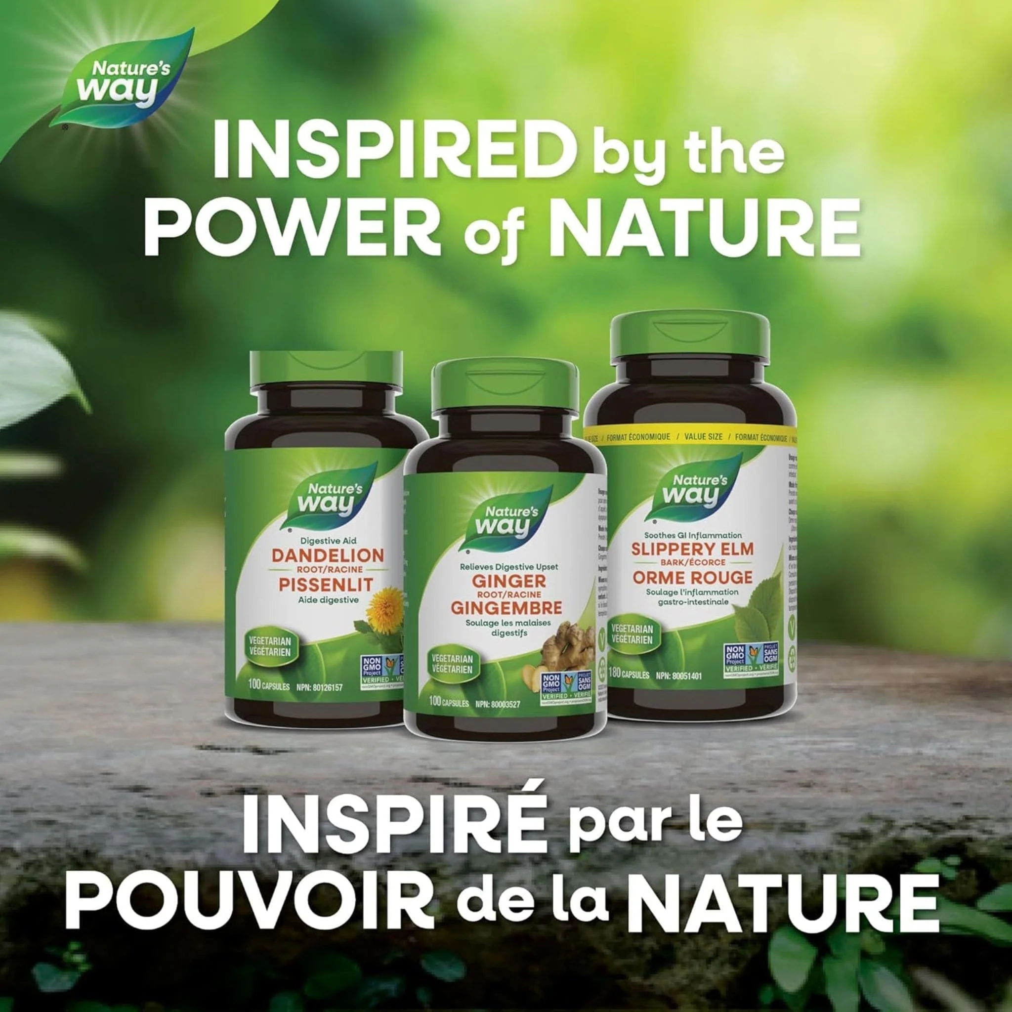 Nature's Way Slippery Elm Bark, 100 Vegetable Capsules - Image 7