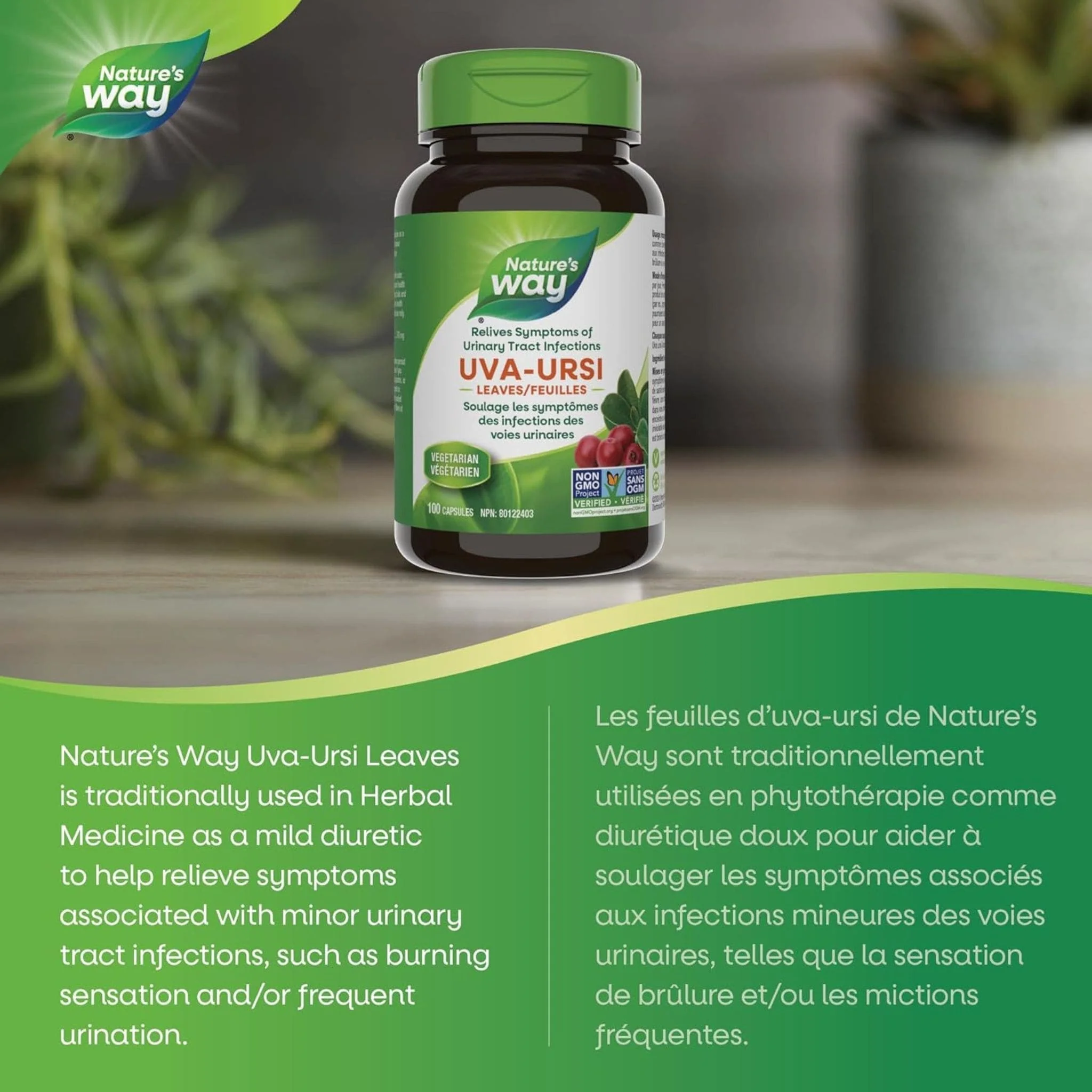 Nature's Way Uva Ursi Leaves 480mg, 100 Vegetable Capsules - Image 4