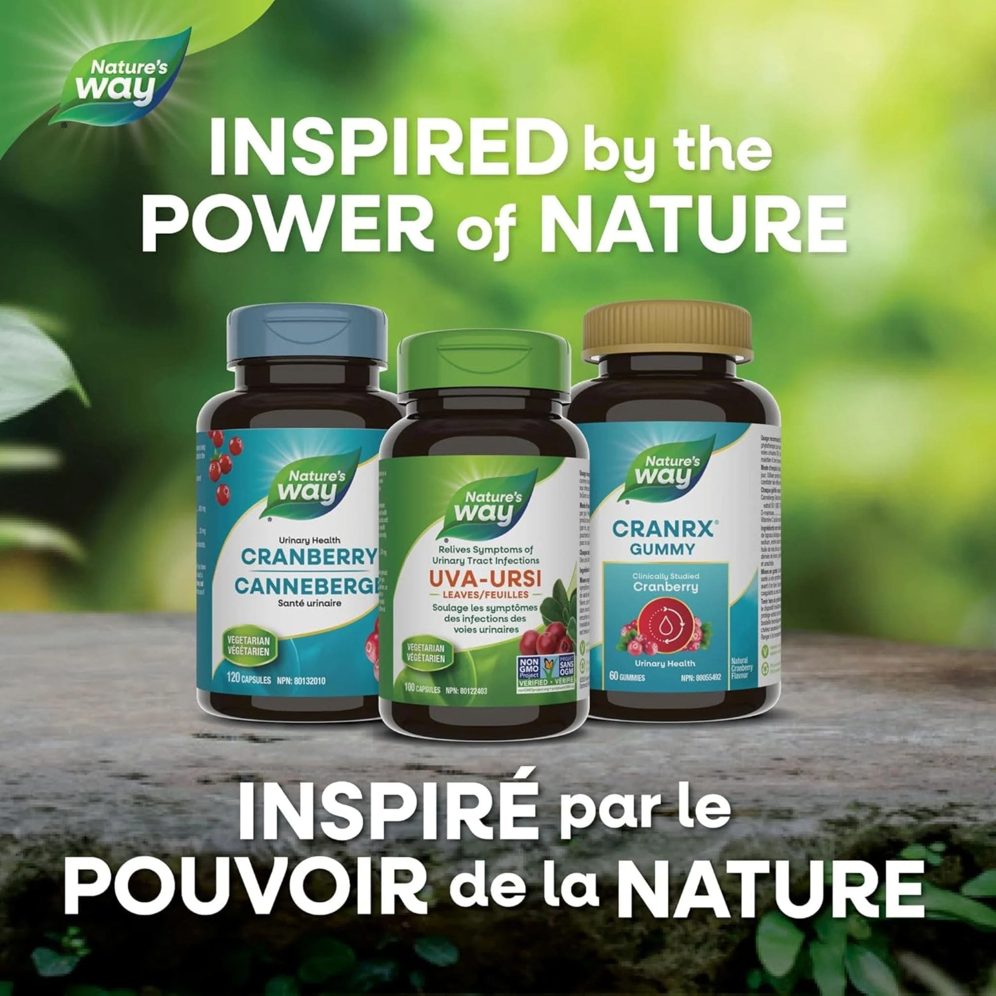 Nature's Way Uva Ursi Leaves 480mg, 100 Vegetable Capsules - Image 8