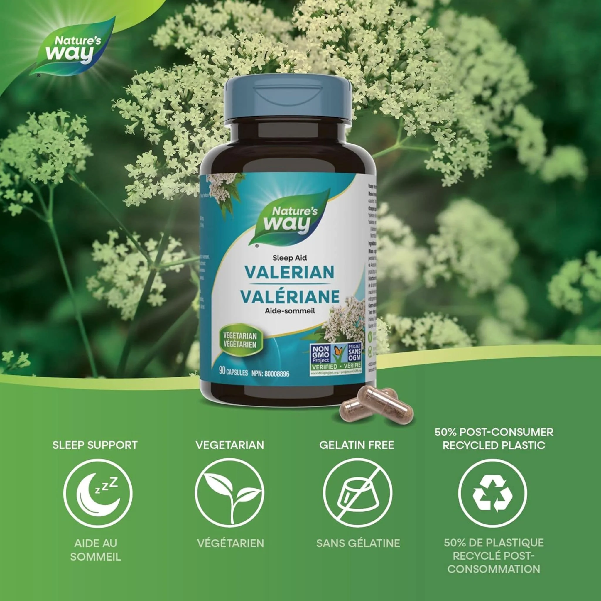Nature's Way Valerian Standardized Extract, 90 Capsules - Image 3