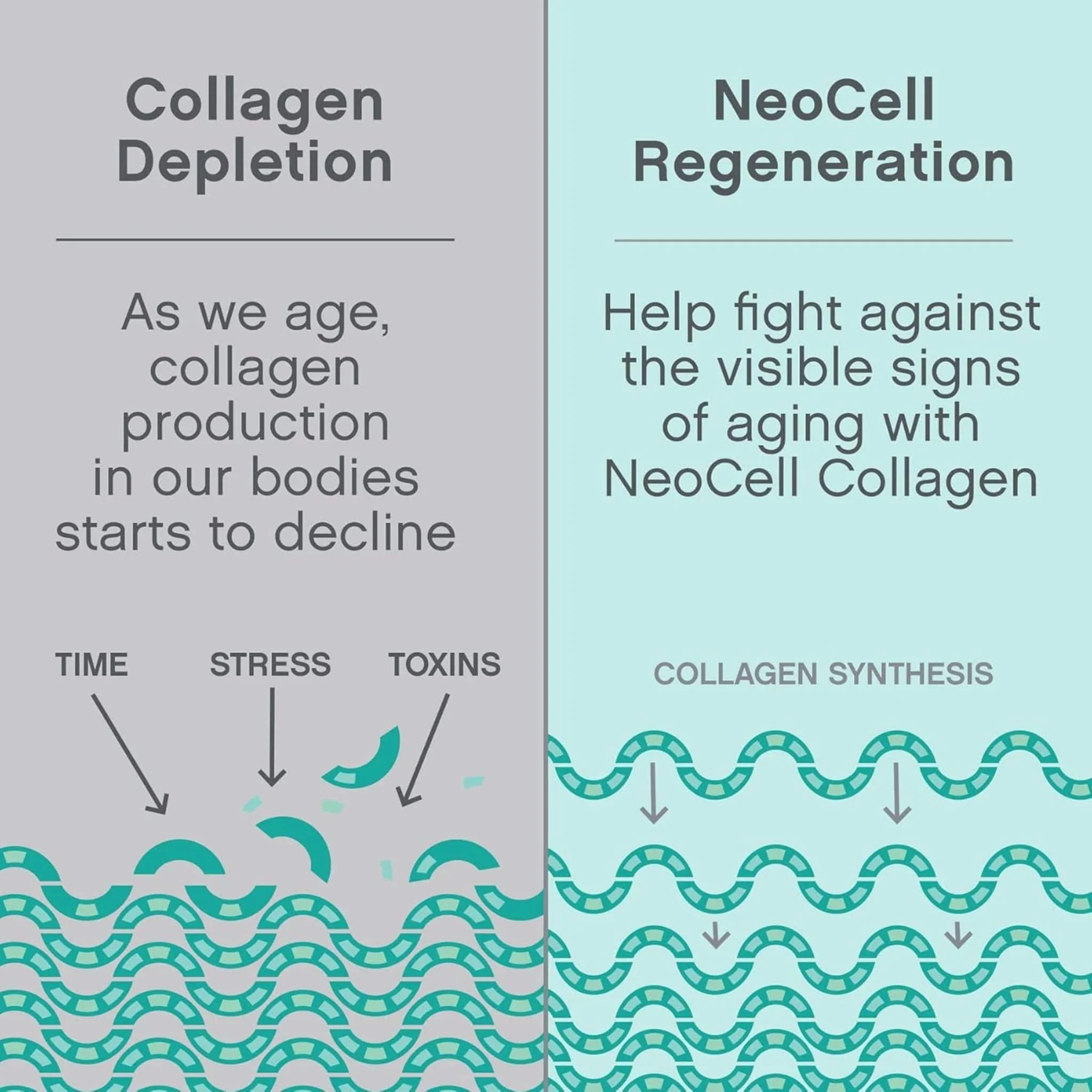 Neocell Super Collagen Peptides Plus, 406g - Image 5