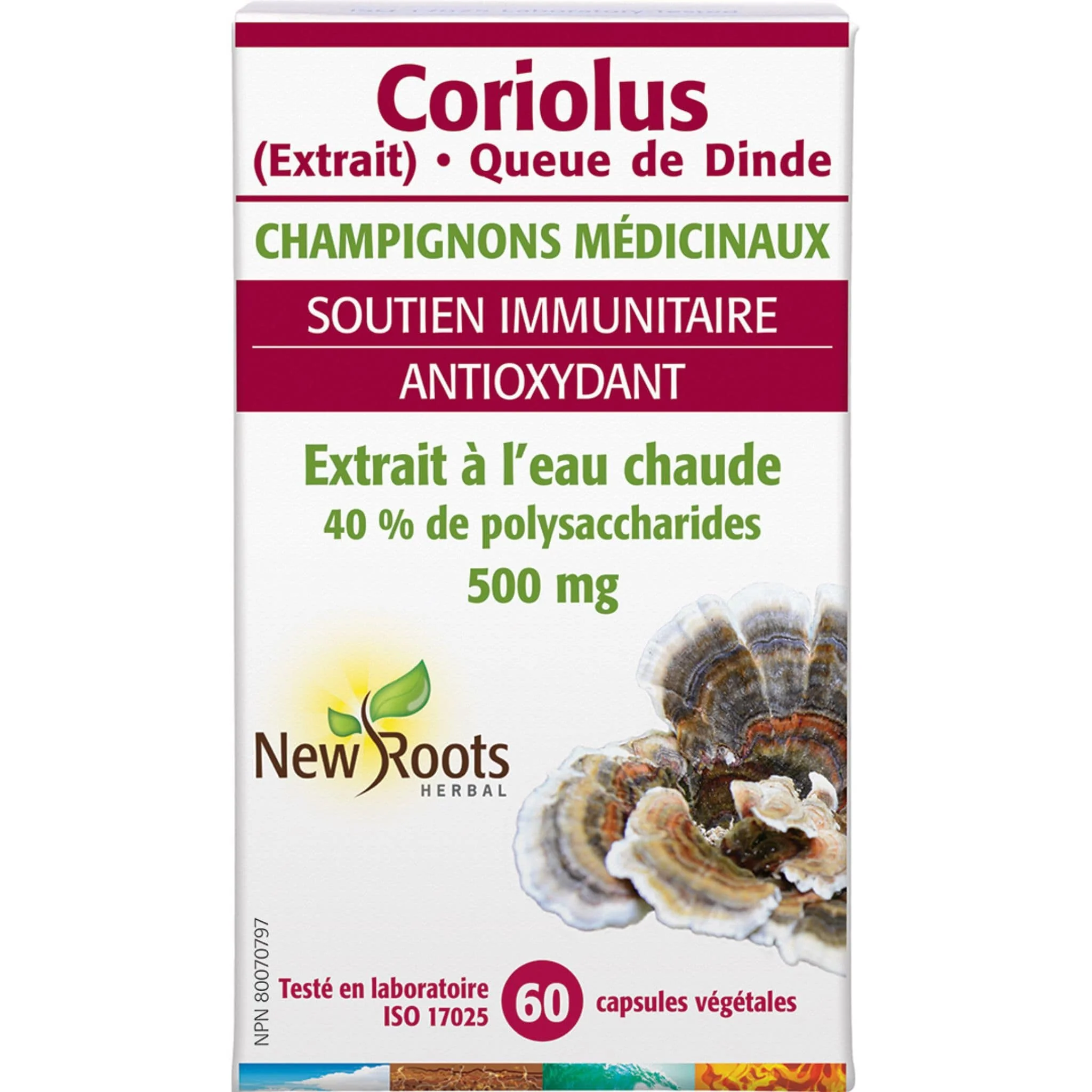 New Roots Coriolus Turkey Tail 500mg From 55% polysaccharides, 60 Vegetable Capsules - Image 2