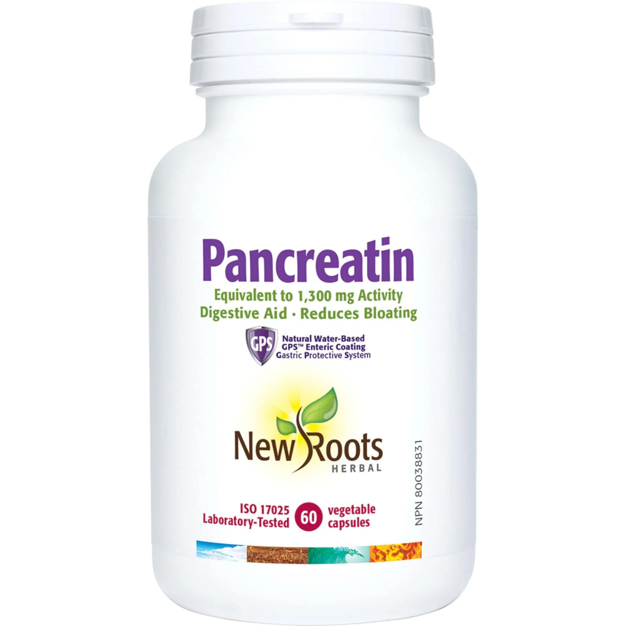New Roots Pancreatin Equivalent to 1,300mg, 60 Vegetable Capsules
