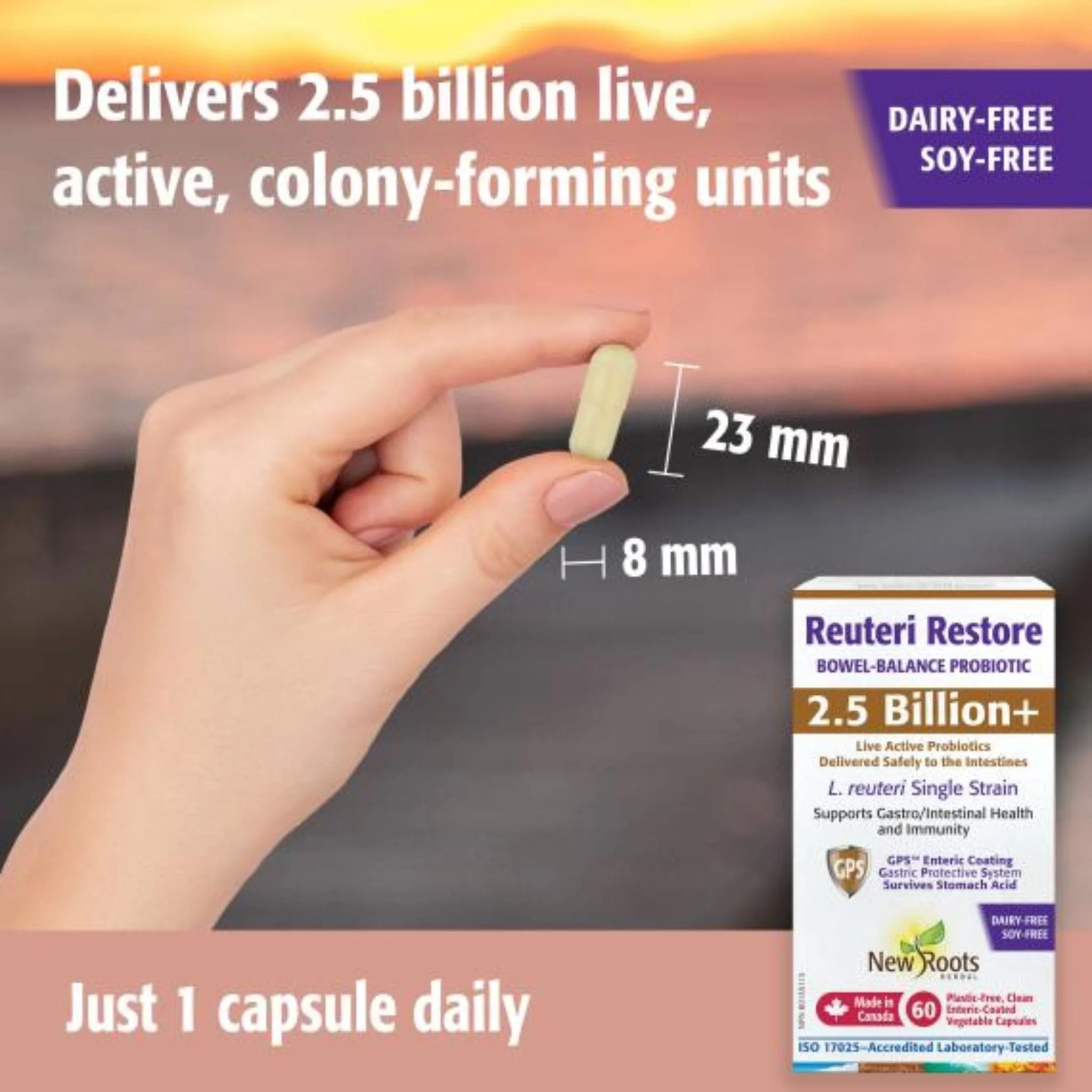New Roots Reuteri Restore, Bowel Balance Probiotic with 2.5 Billion Live Active Probiotics Delivered Safely to the Intestines, 30 Enteric Coated Vegetable Capsules - Image 7