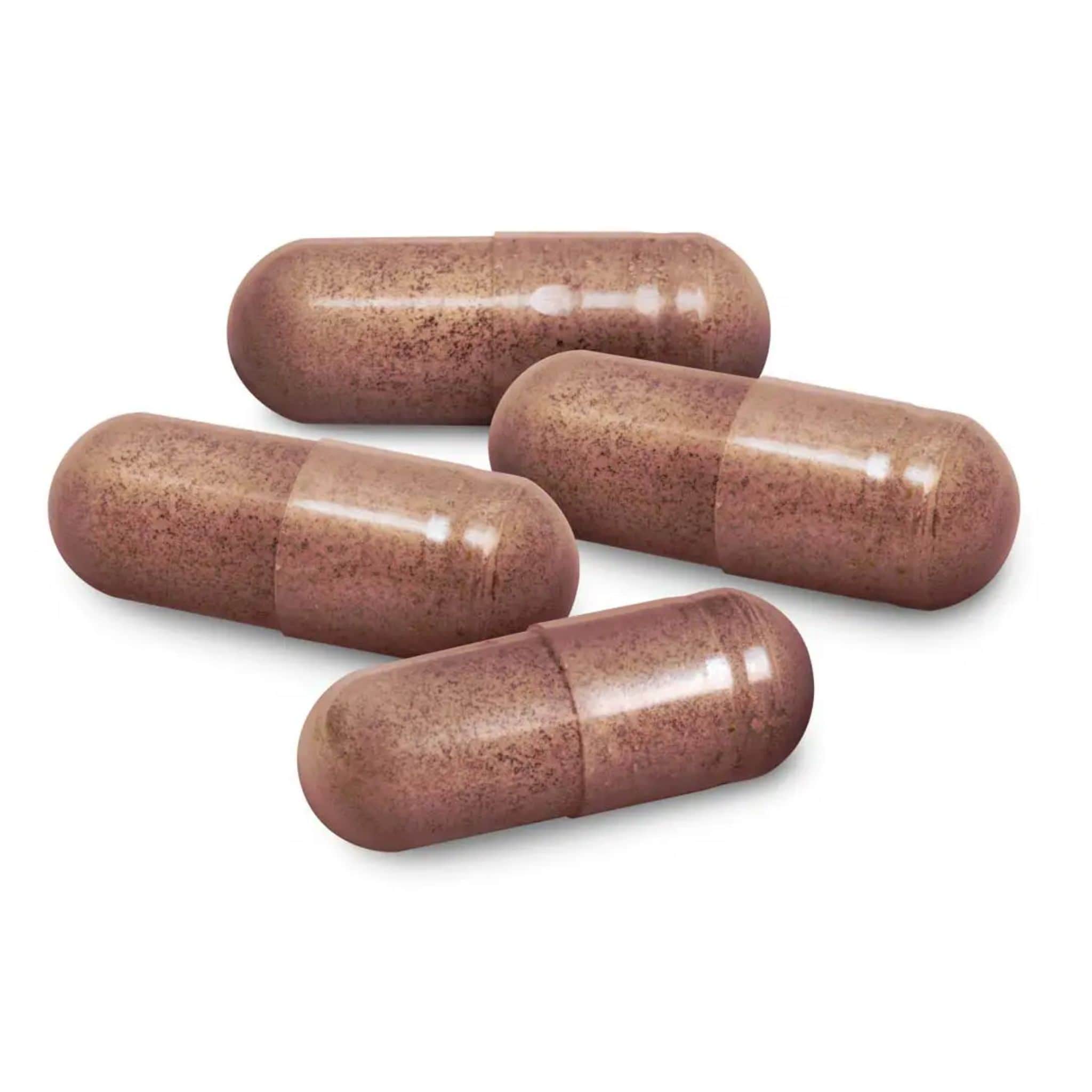North American Herb and Spice ChagaMax, Supports Healthy Immune Function, 90 Vegetable Capsules - Image 4