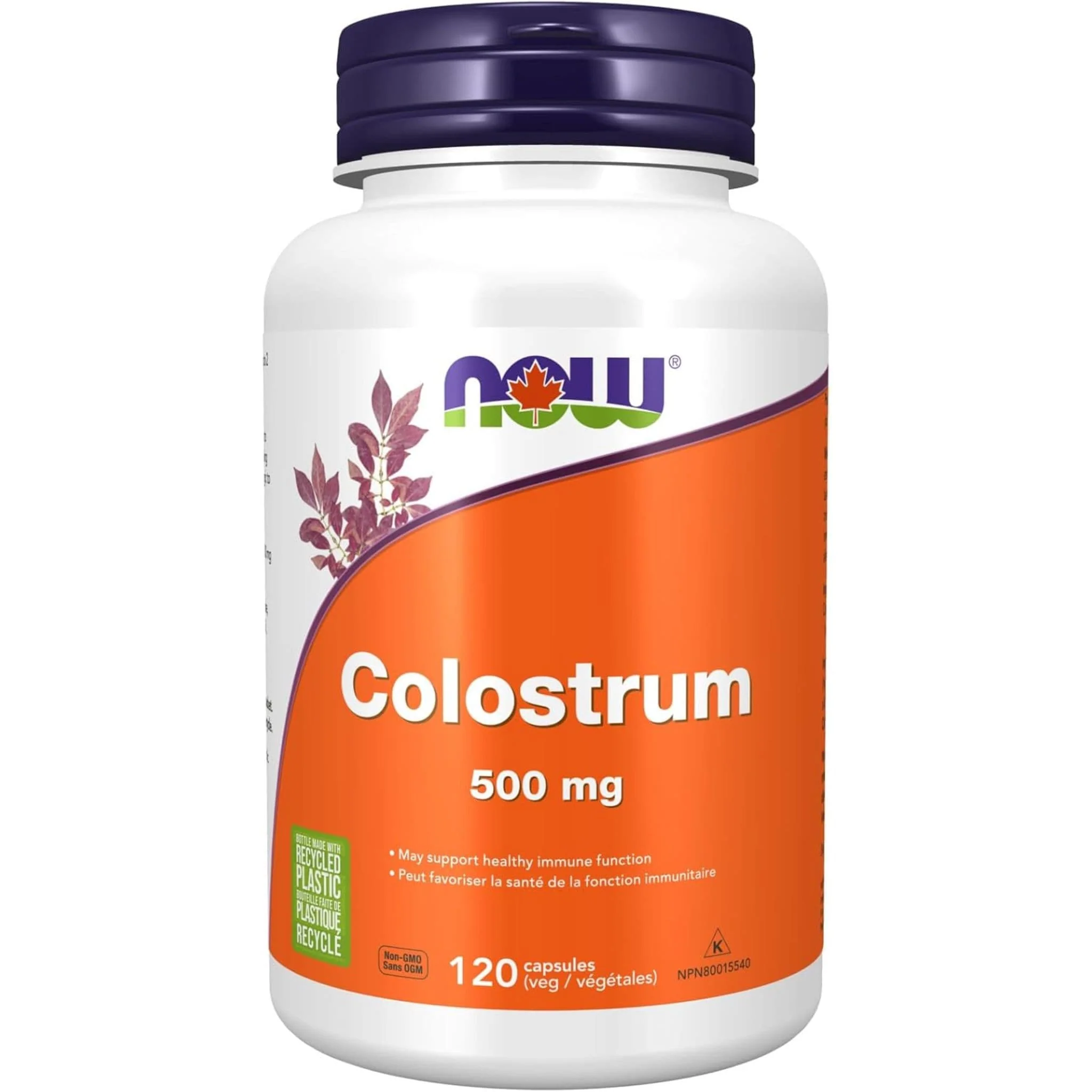 NOW Colostrum 500mg, 120 Capsules - Image 2