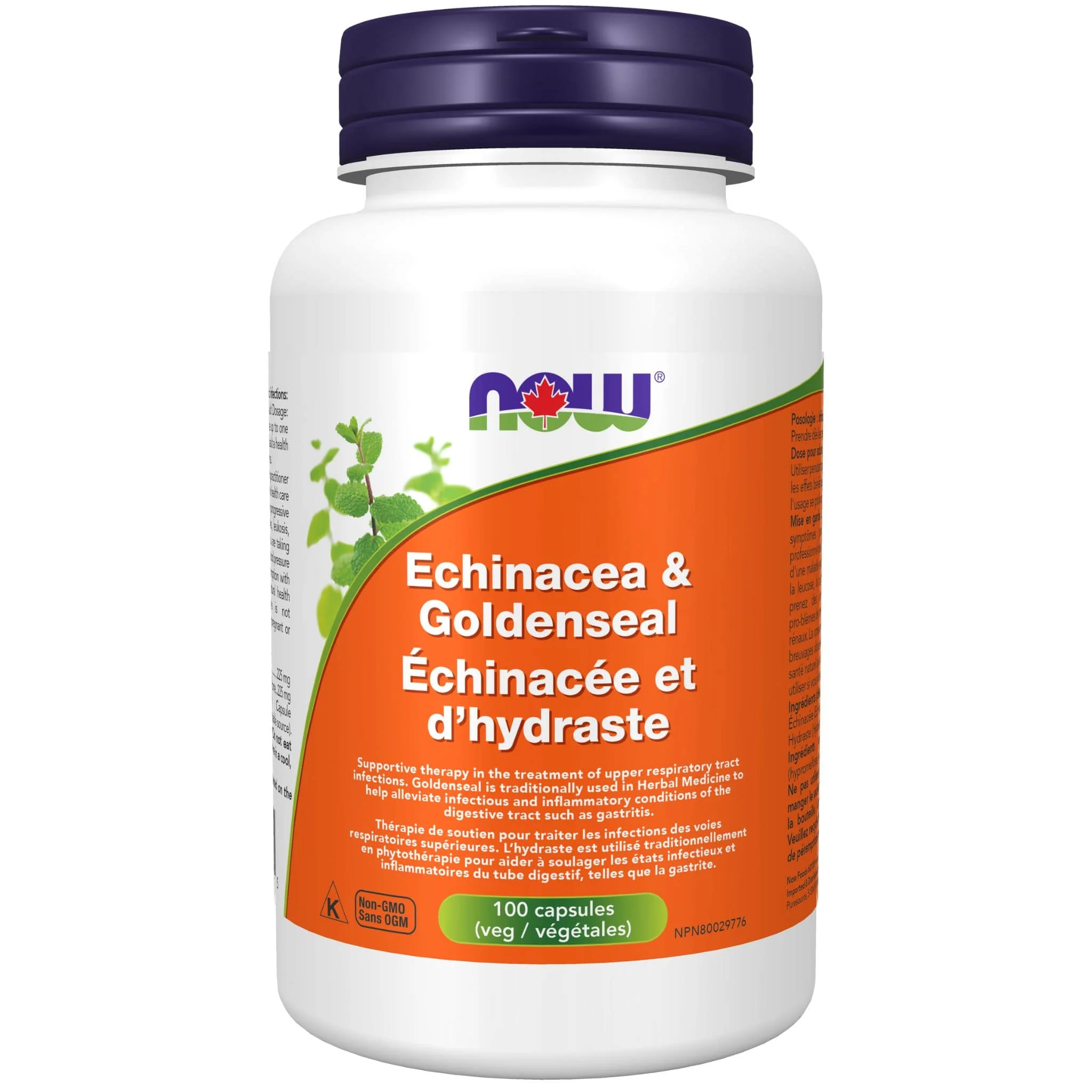NOW Echinacea & Goldseal, 225mg/225mg, 100 Capsules