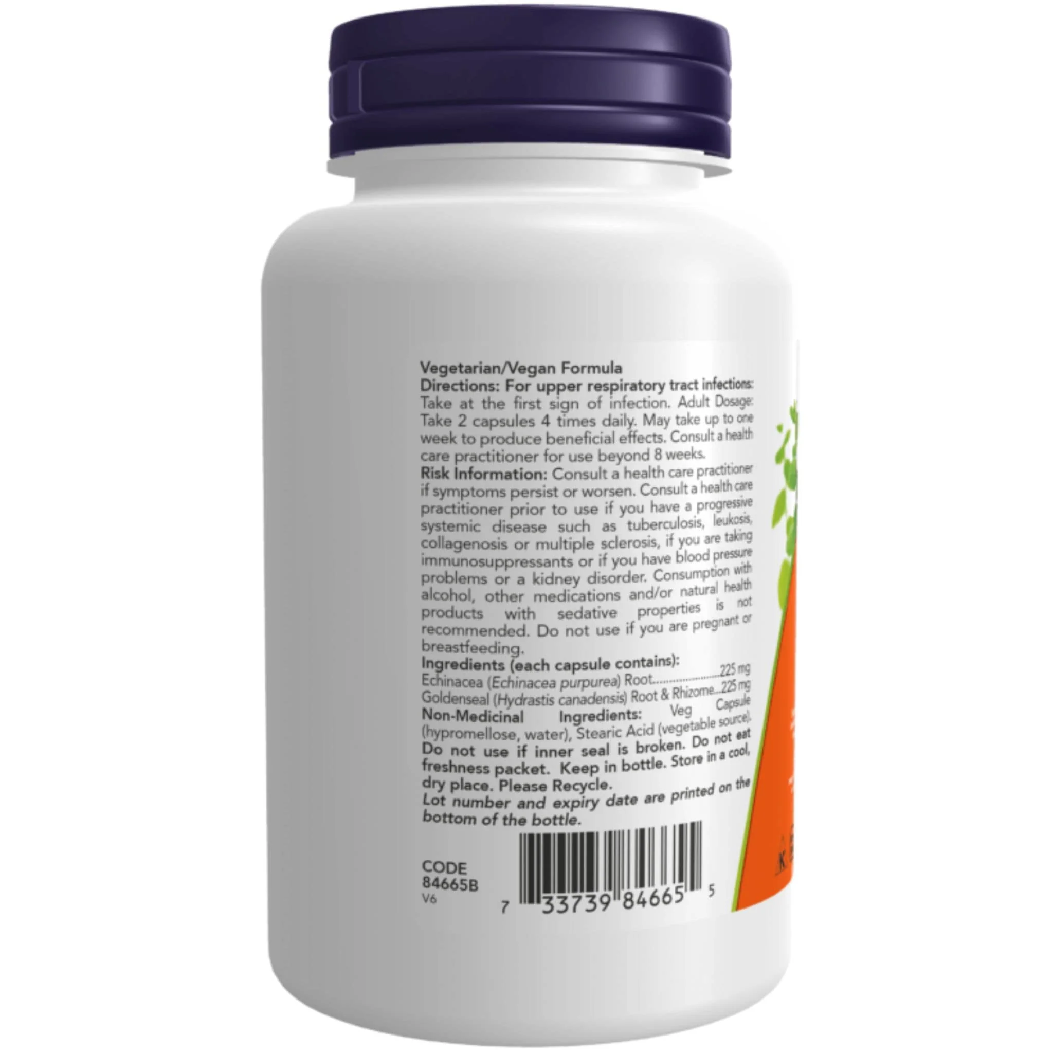 NOW Echinacea & Goldseal, 225mg/225mg, 100 Capsules - Image 3