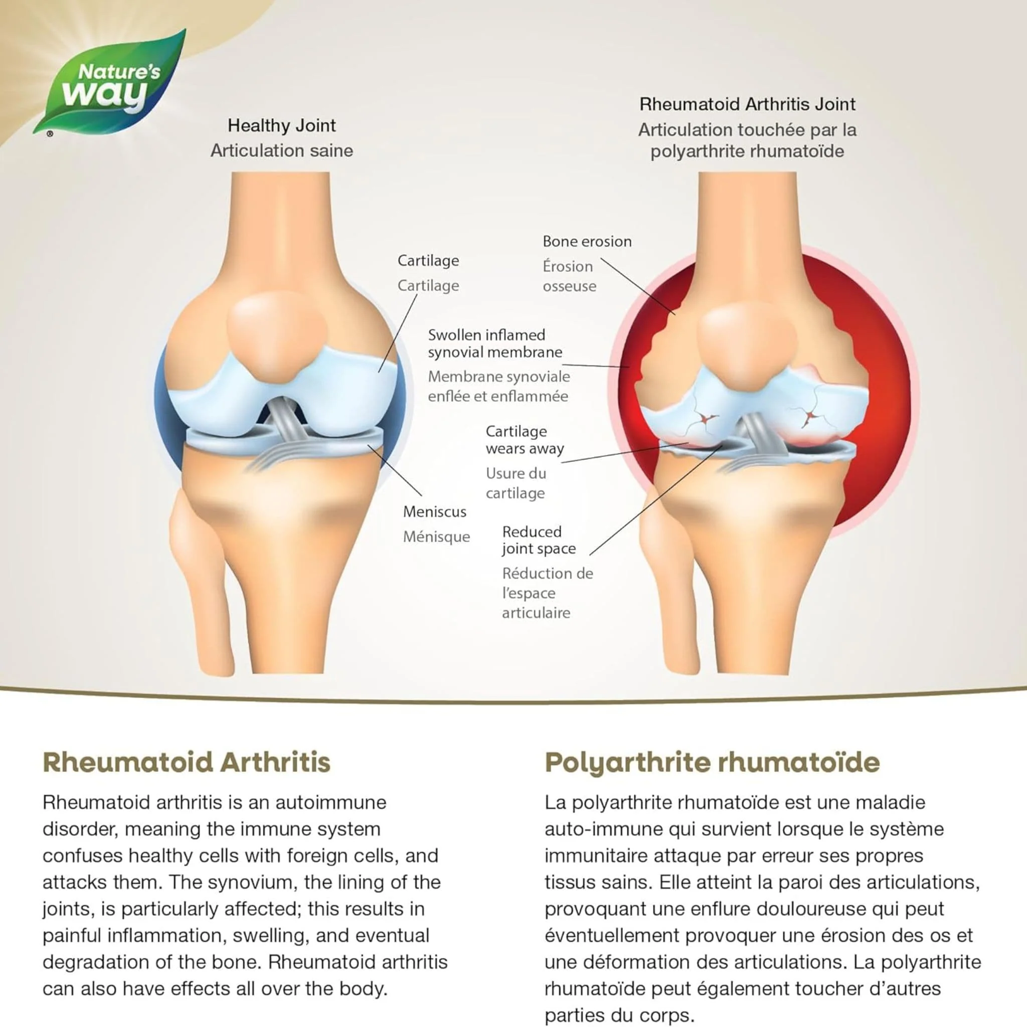NutraSea Arthritis Targeted Omega-3, Fresh Mint Softgels - Image 3