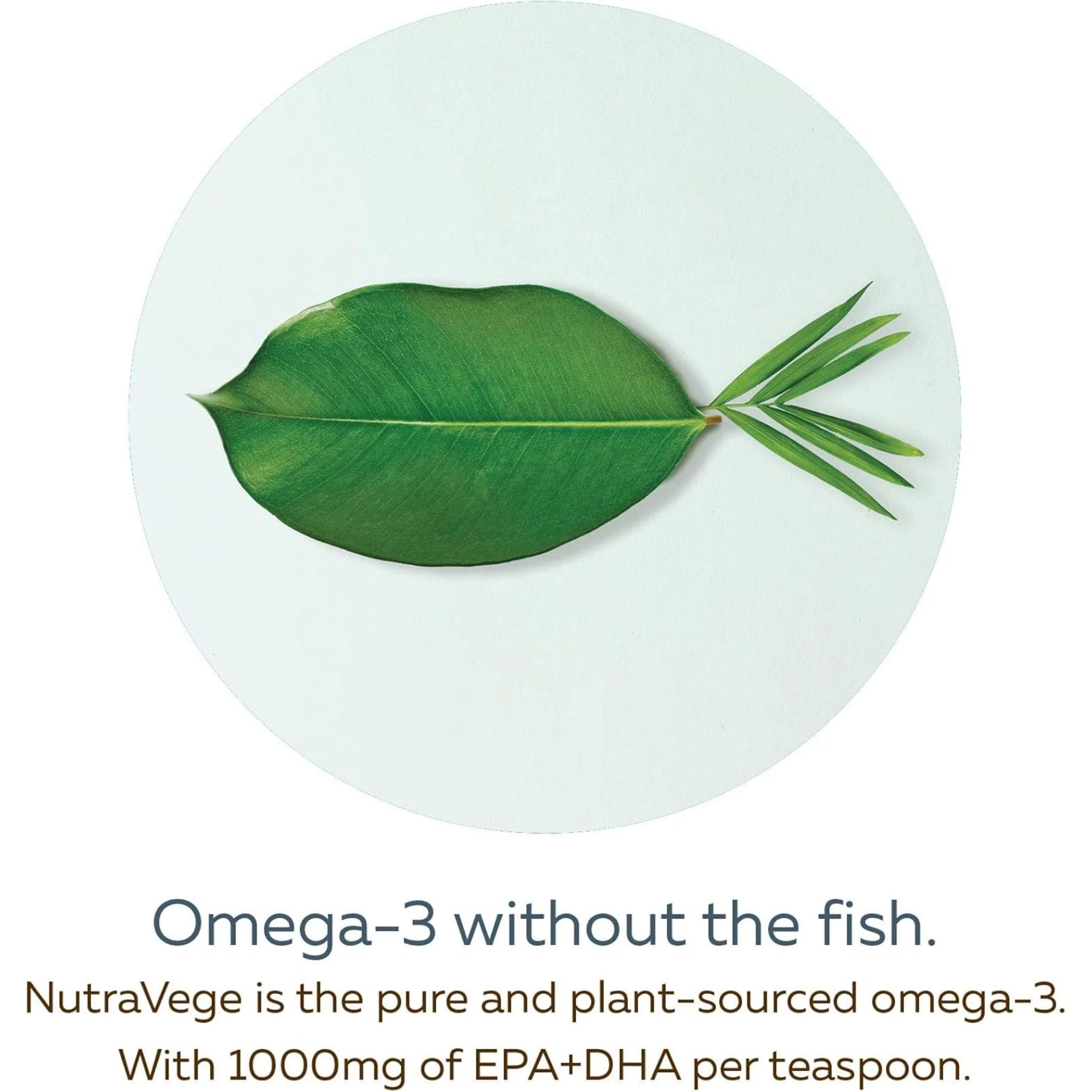 NutraSea NutraVege  Omega-3 +D (Plant Based) Extra Strength Liquid, 200ml - Image 4